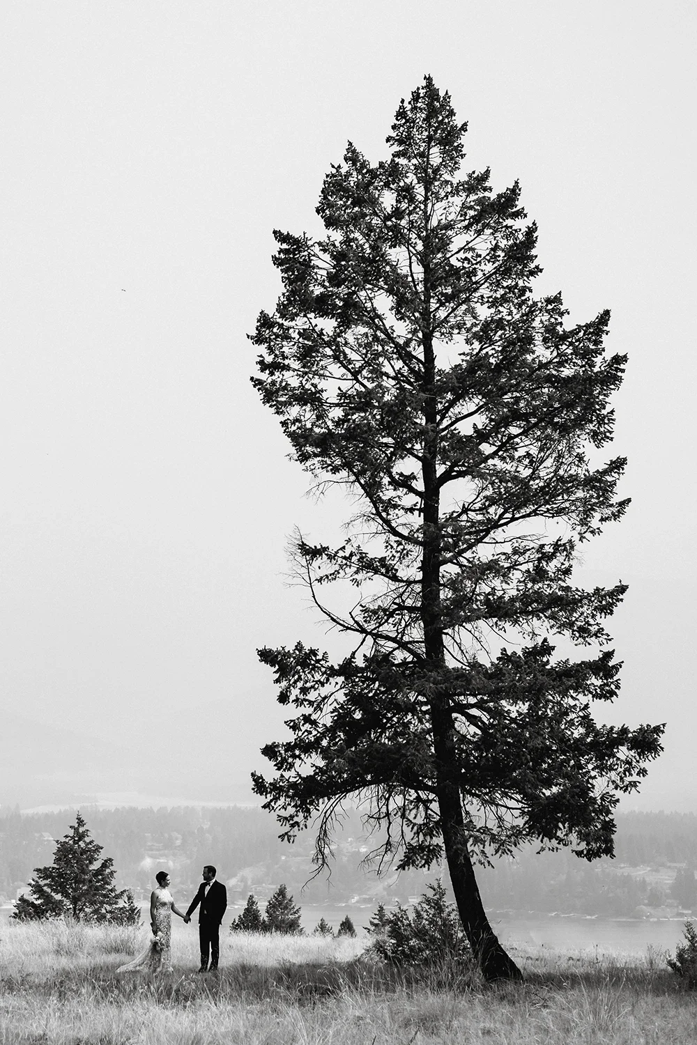 A black-and-white photo of a couple holding hands outdoors on a grassy field, with a tall tree and distant landscape in the background.