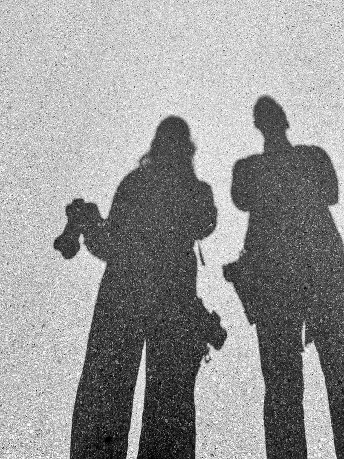 Shadows of two people walking on pavement, one holding a leash with a small dog.