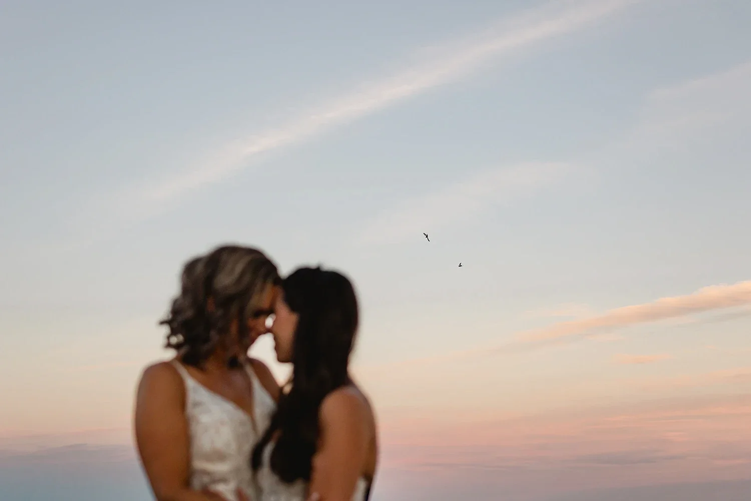 Two women in wedding dresses sharing an intimate moment against a pastel-colored sky with clouds and birds flying in the distance.