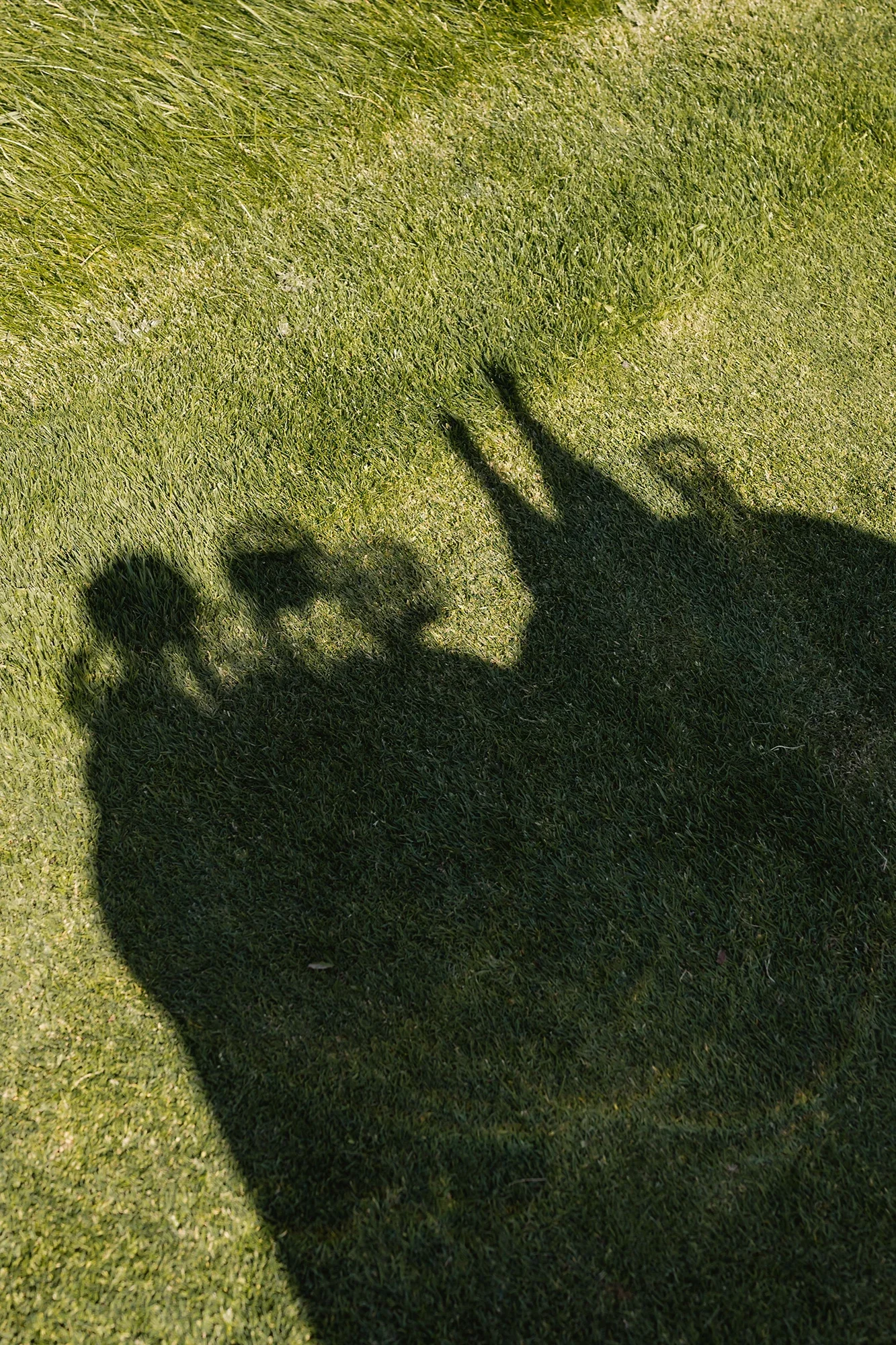 kendal-and-kevin-wedding-photos-champagne-toast-shadow.webp