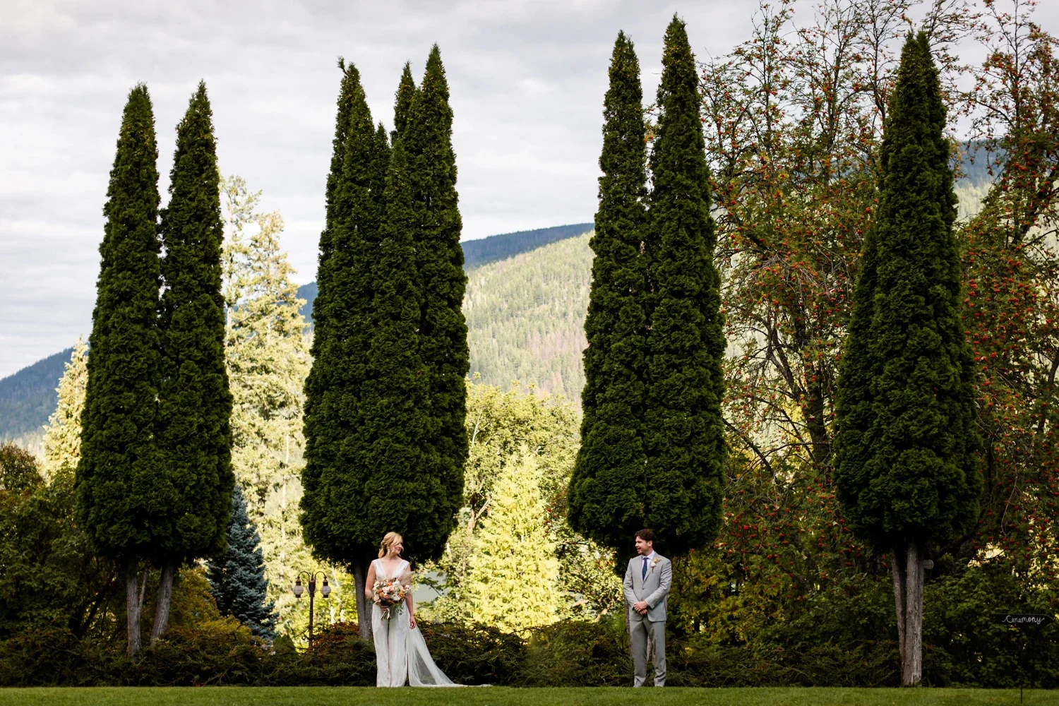 Bride and groom standing apart on grass in a garden with tall, narrow evergreen trees and mountains in the background.