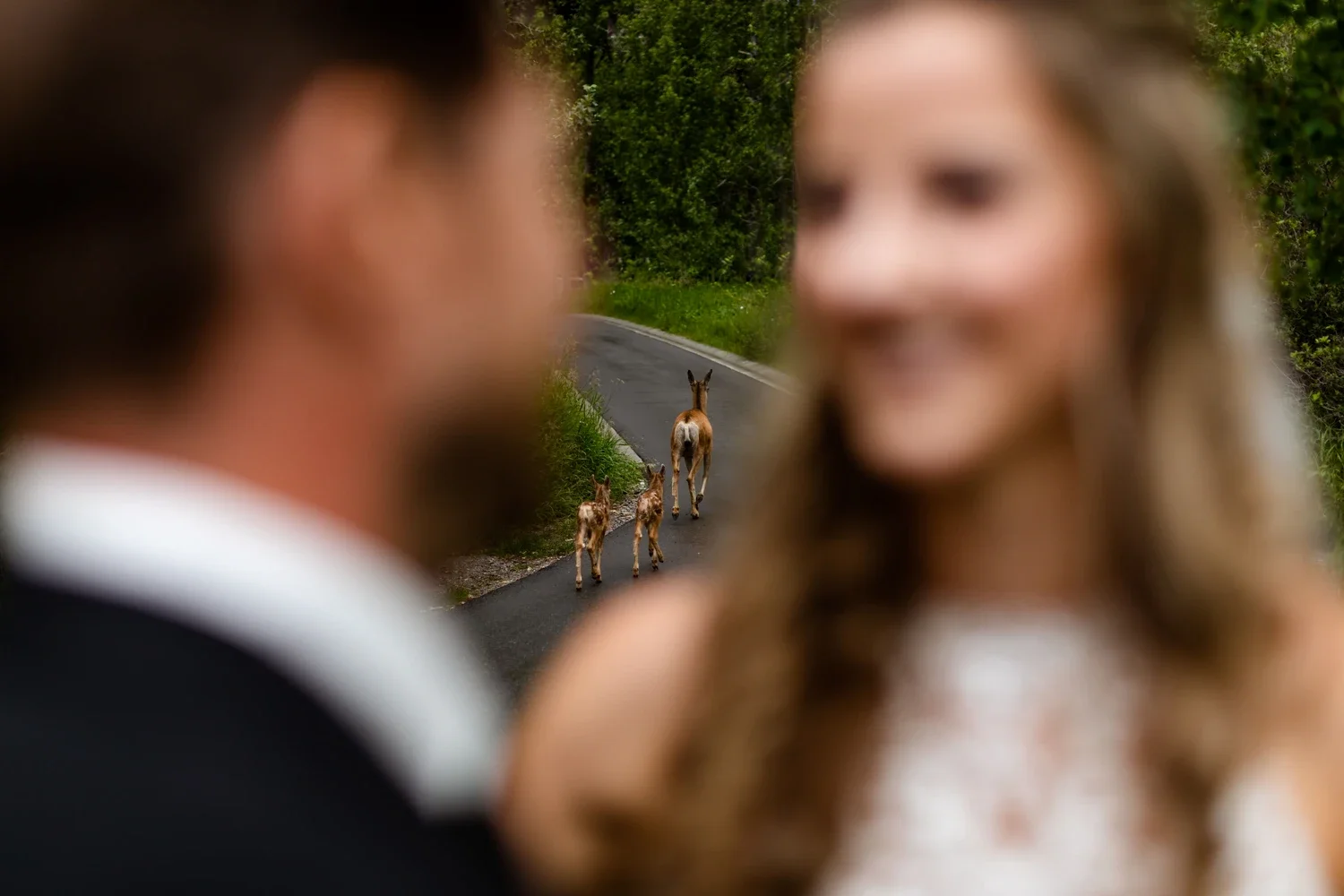 Blurred couple in formal attire looking at each other, with a road and a mother and two baby goats in the background.