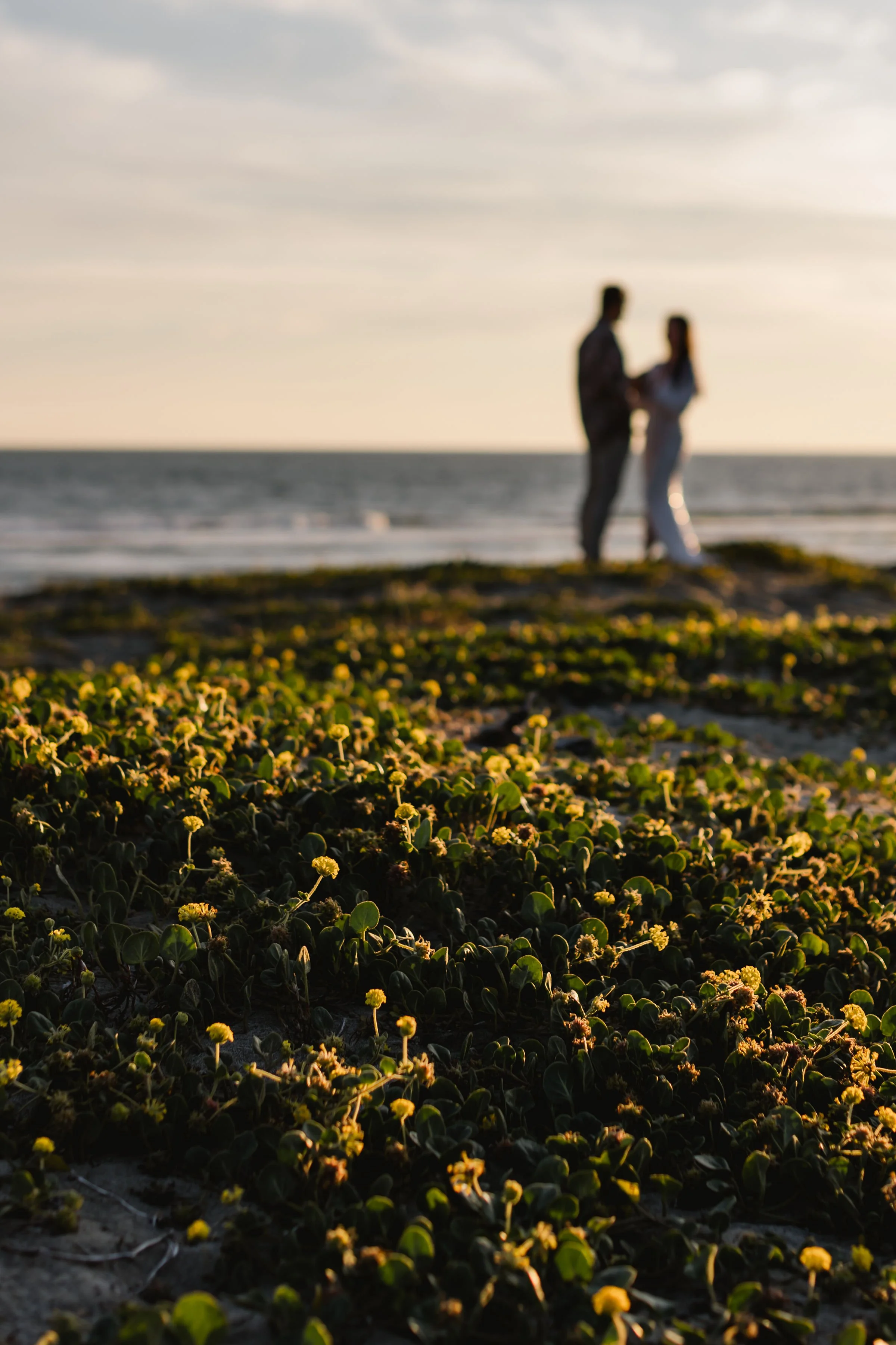 K+KPhotography_R+ATofino-32.jpg