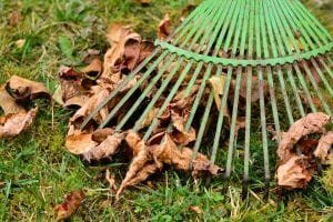 5 Winter Landscaping Mistakes to Avoid