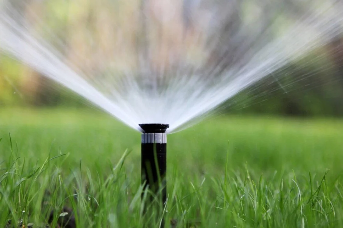 Use an Irrigation System to Keep Your Greenery Healthy in Sparks and Carson City, NV