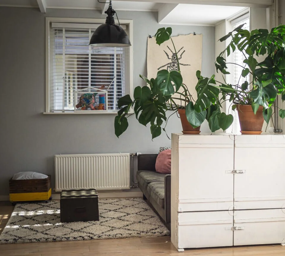 Living room with large potted monstera plants on a white wooden cabinet, a gray couch with a pink pillow, a white textured rug, a black ottoman, a yellow basket with a white pillow inside, a black pendant lamp, a window with white blinds, and wall art.