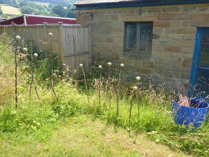 Willow weaving & hurdle making