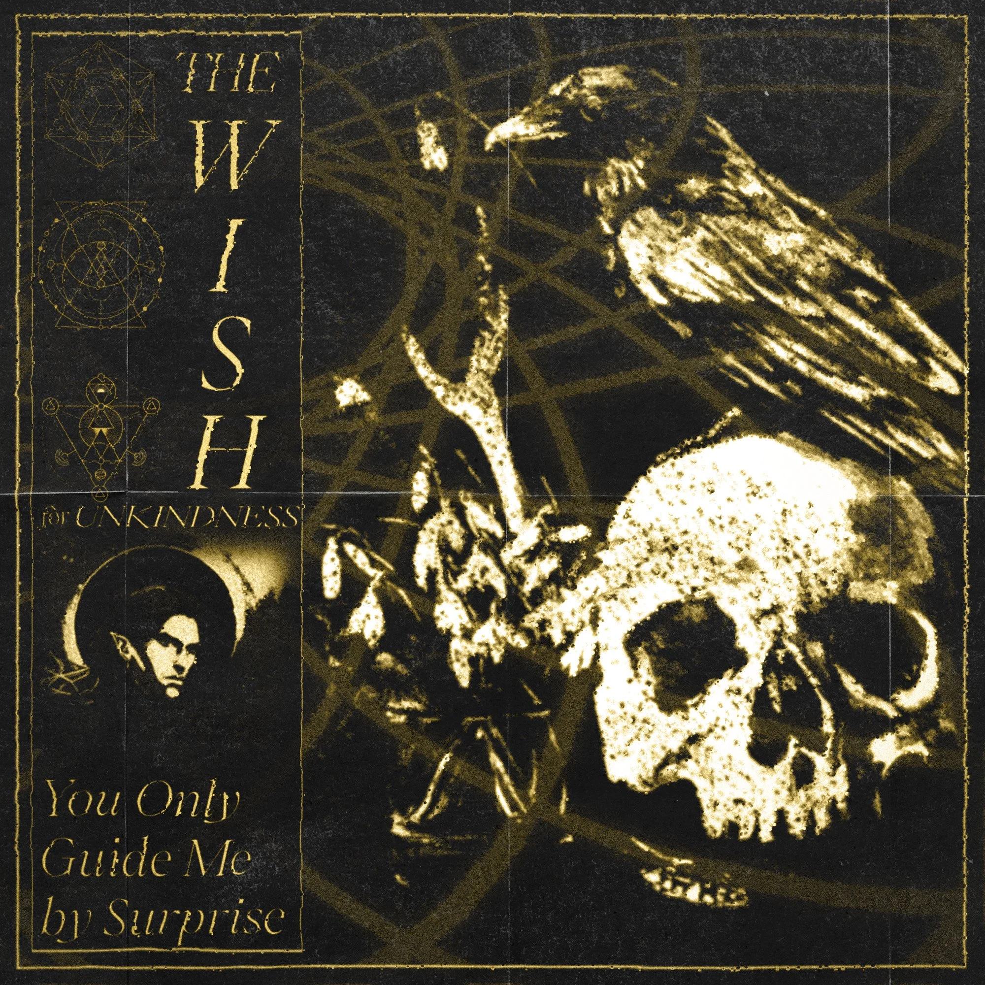 The Wish for Unkindness