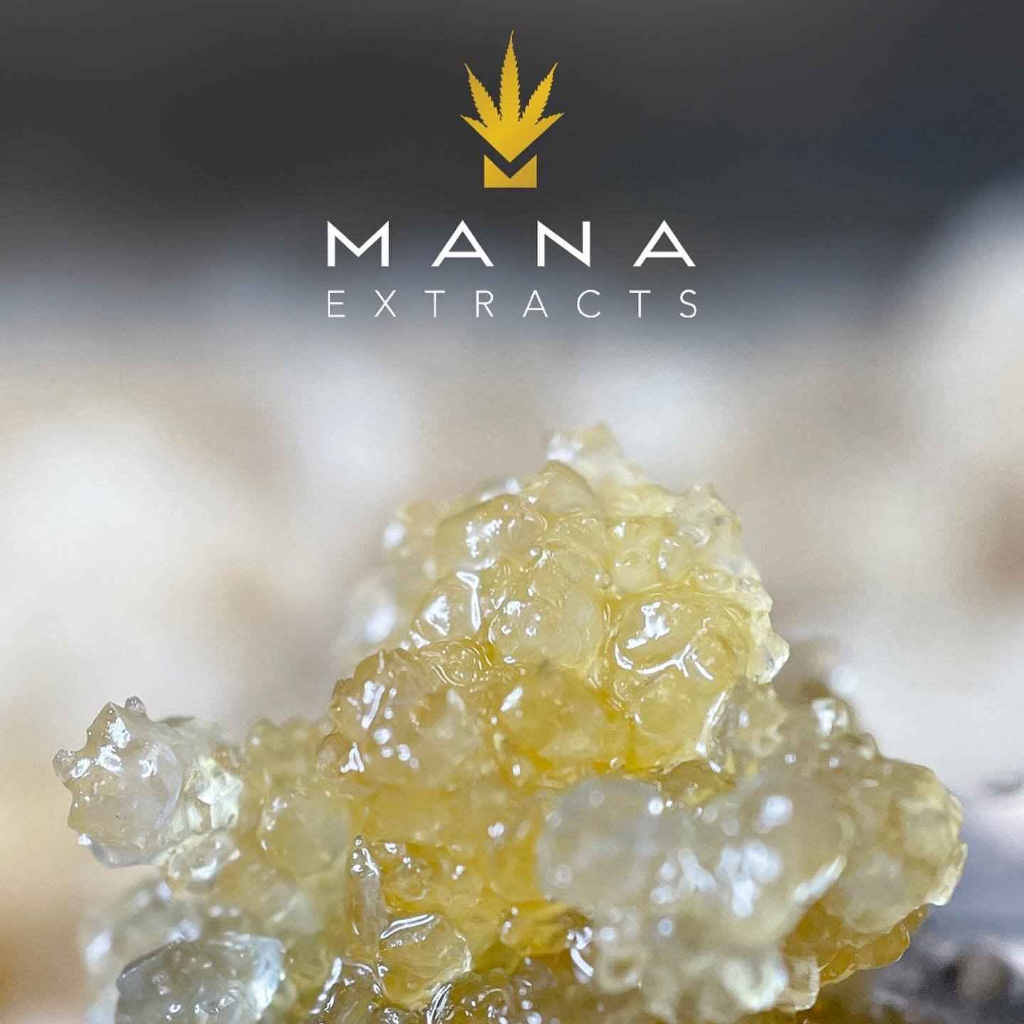 VENDORS at two Smooth Roots locations today, Friday May 10th!

Lincoln City: @mana.extracts 2-6pm
Greeley: @white_label_extracts_ 1-4pm