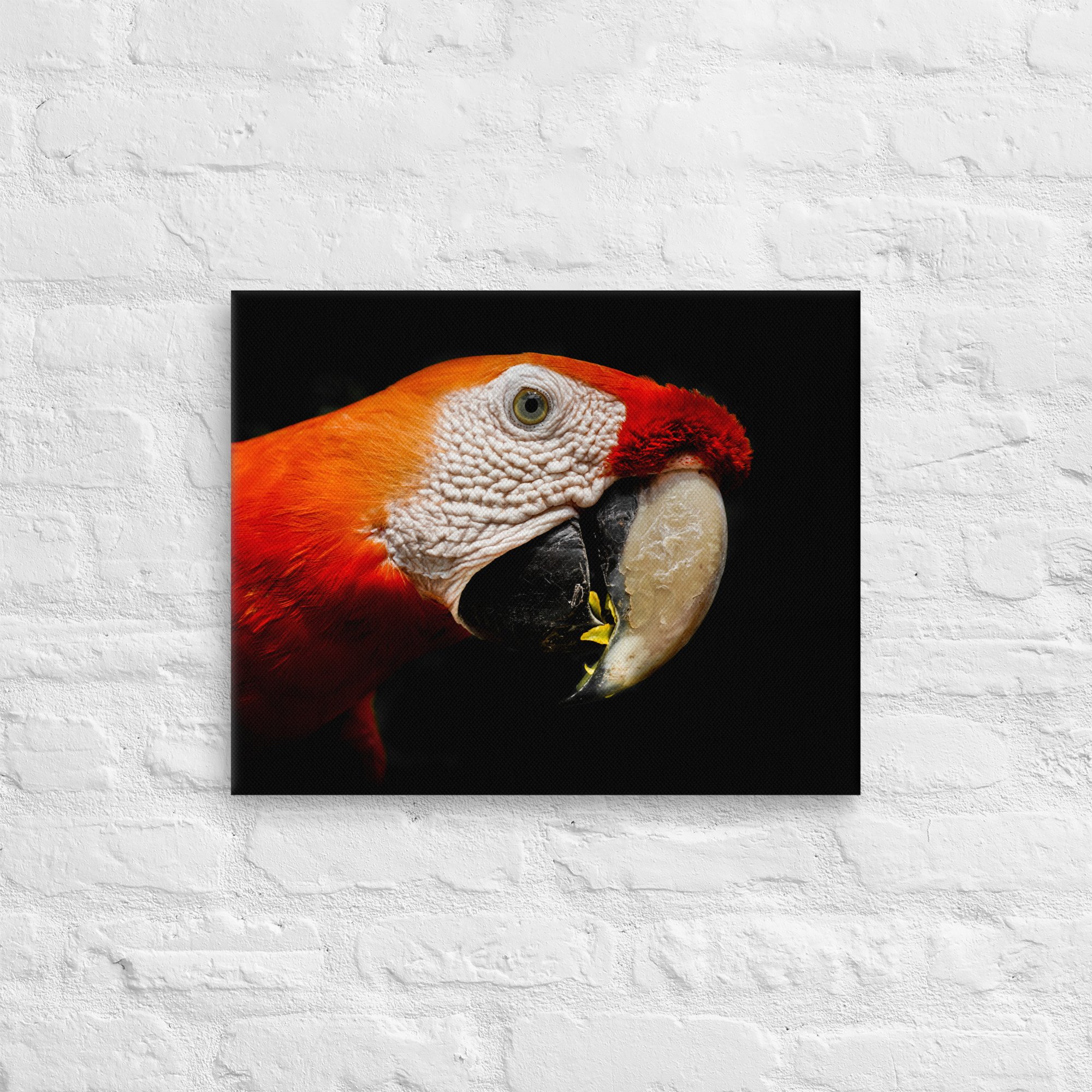 thin-canvas-(in)-16x20-front-643e673e8cfa3.jpg