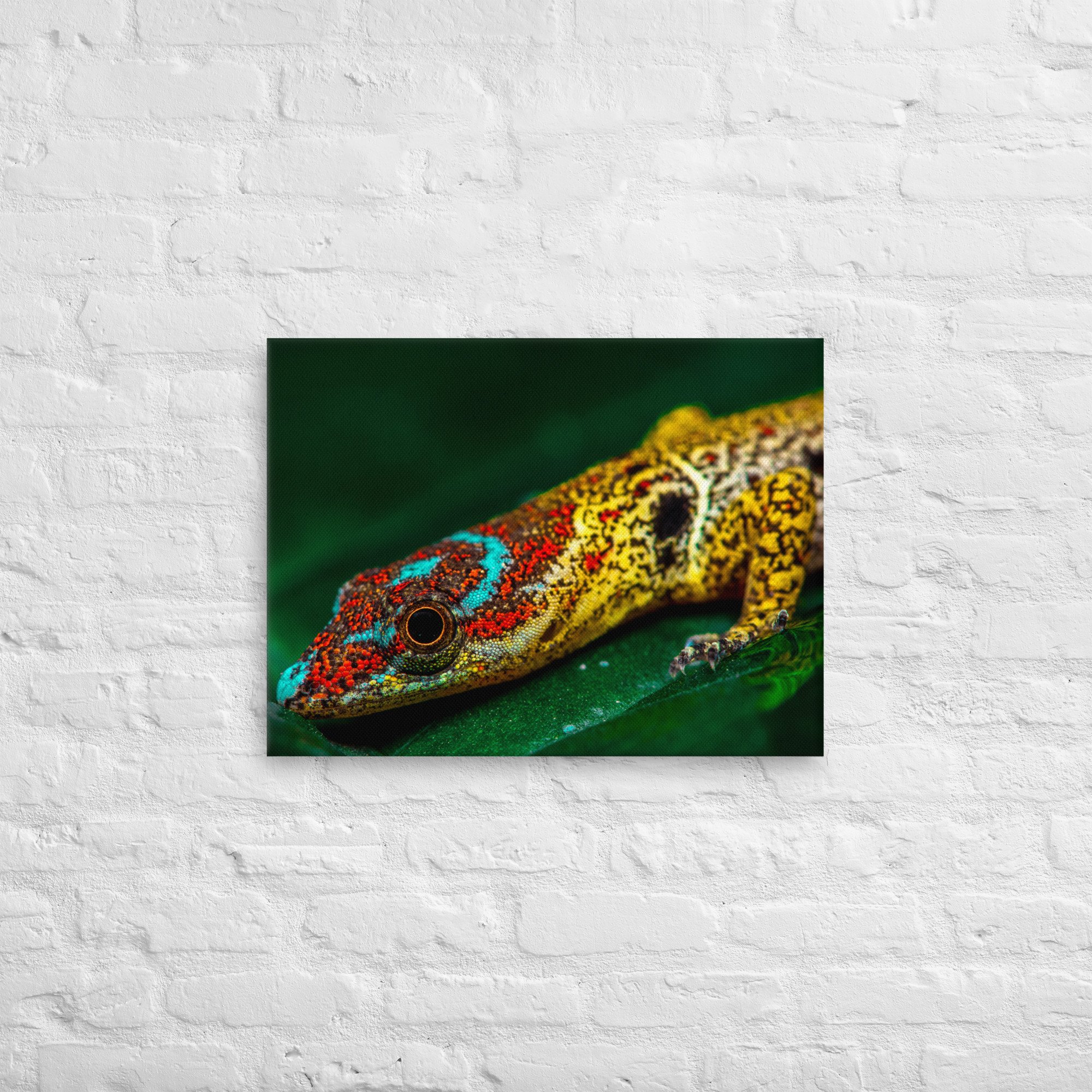 thin-canvas-(in)-18x24-front-643e6a6e63471.jpg