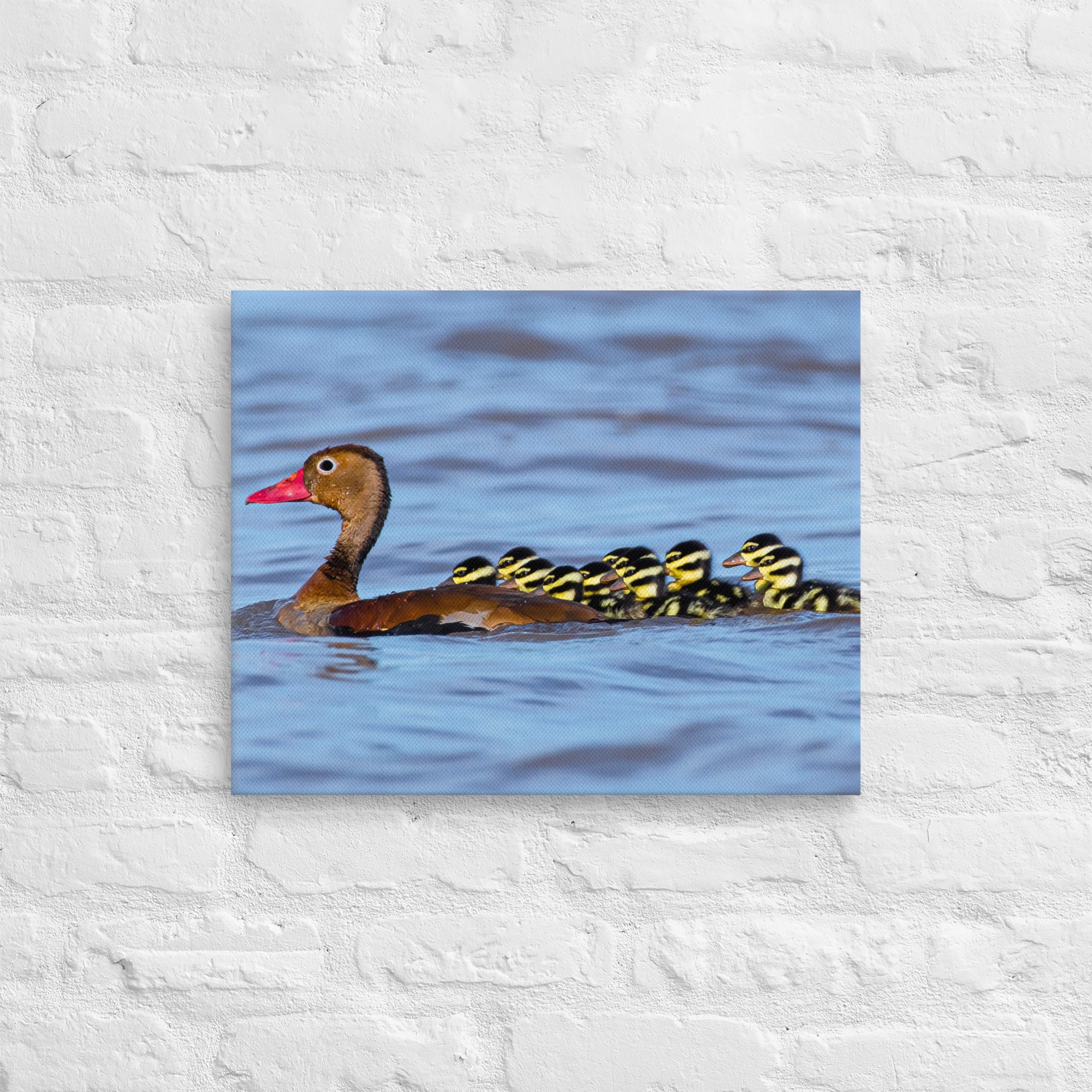 thin-canvas-(in)-16x20-front-643e6d74b1576.jpg