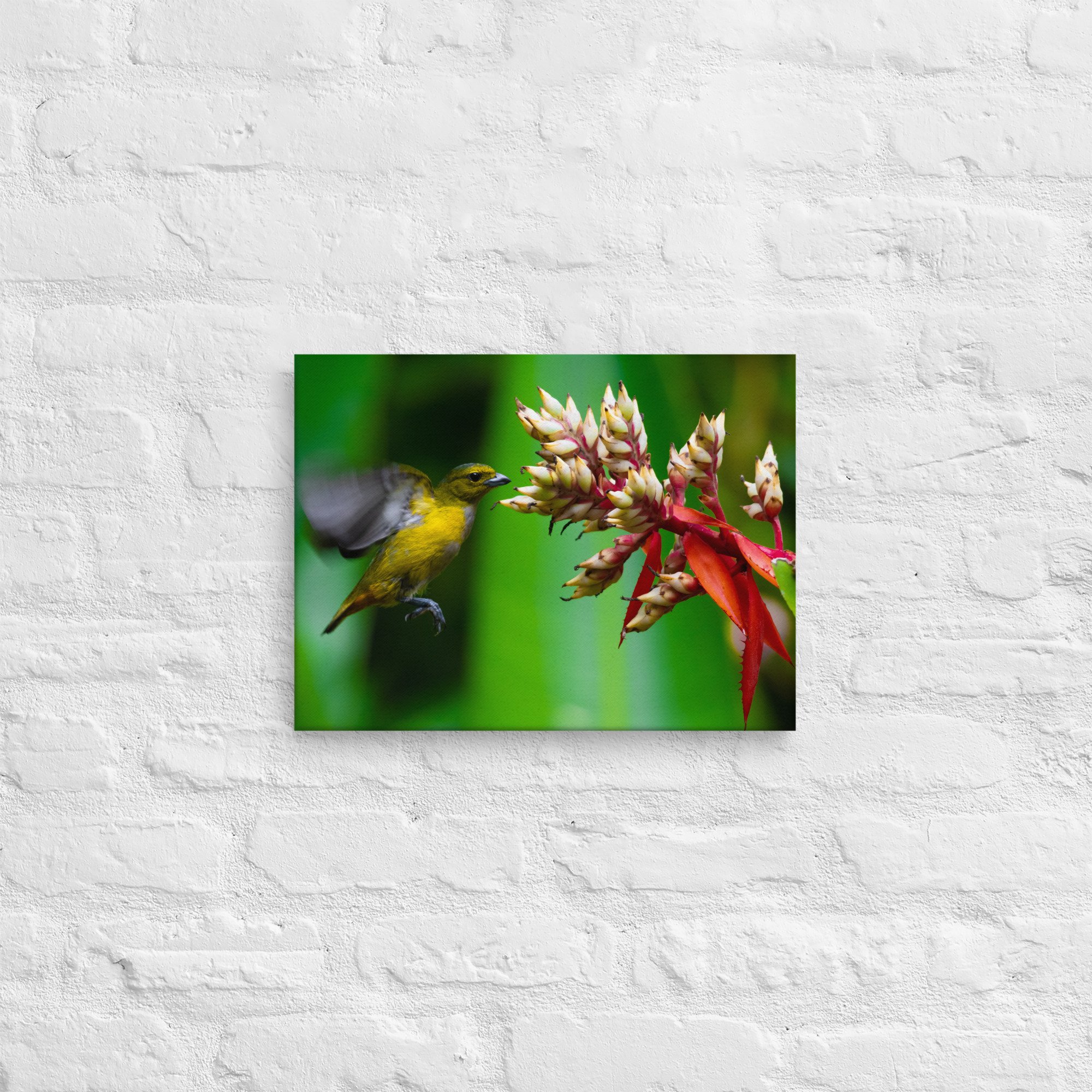 thin-canvas-(in)-12x16-front-643e707e8af6d.jpg