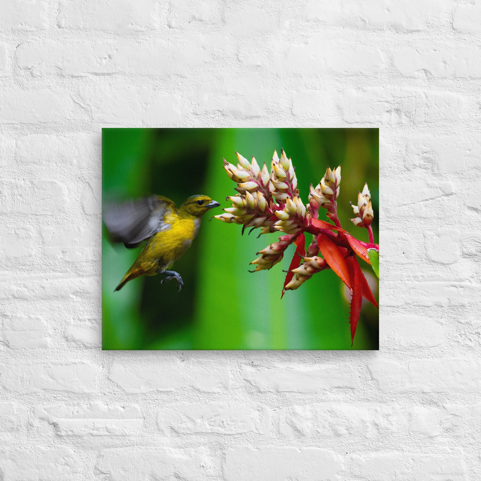 thin-canvas-(in)-16x20-front-643e707e8afed.jpg