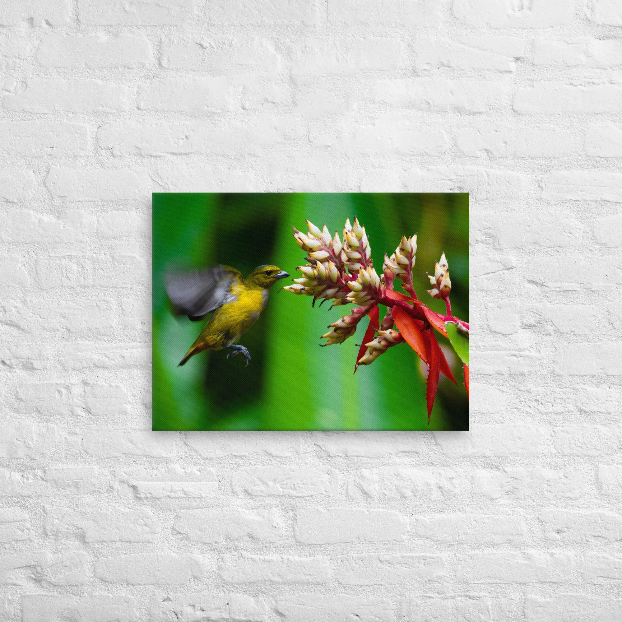 thin-canvas-(in)-18x24-front-643e707e8b025.jpg