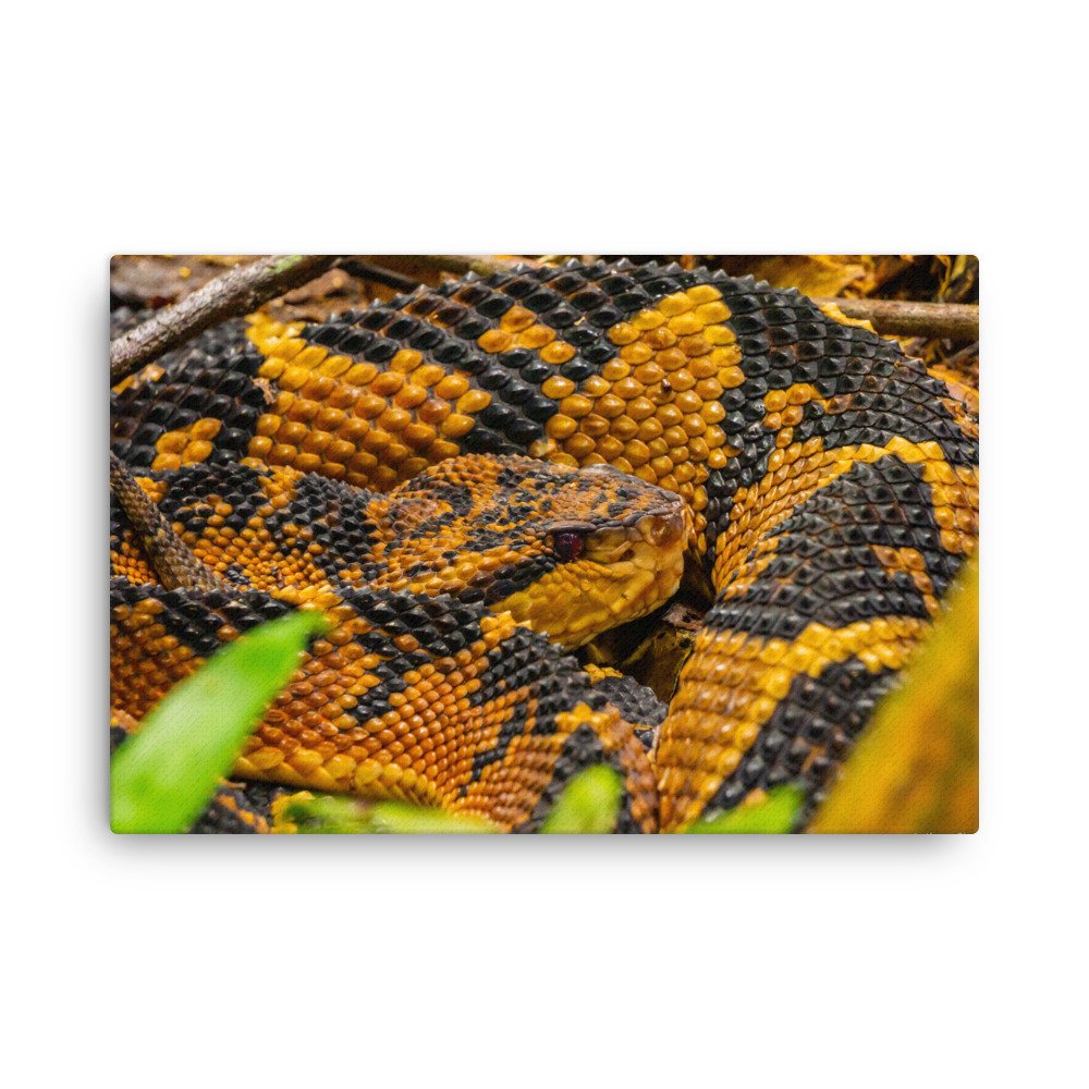 thin-canvas-(in)-24x36-front-643e74d53c13d.jpg