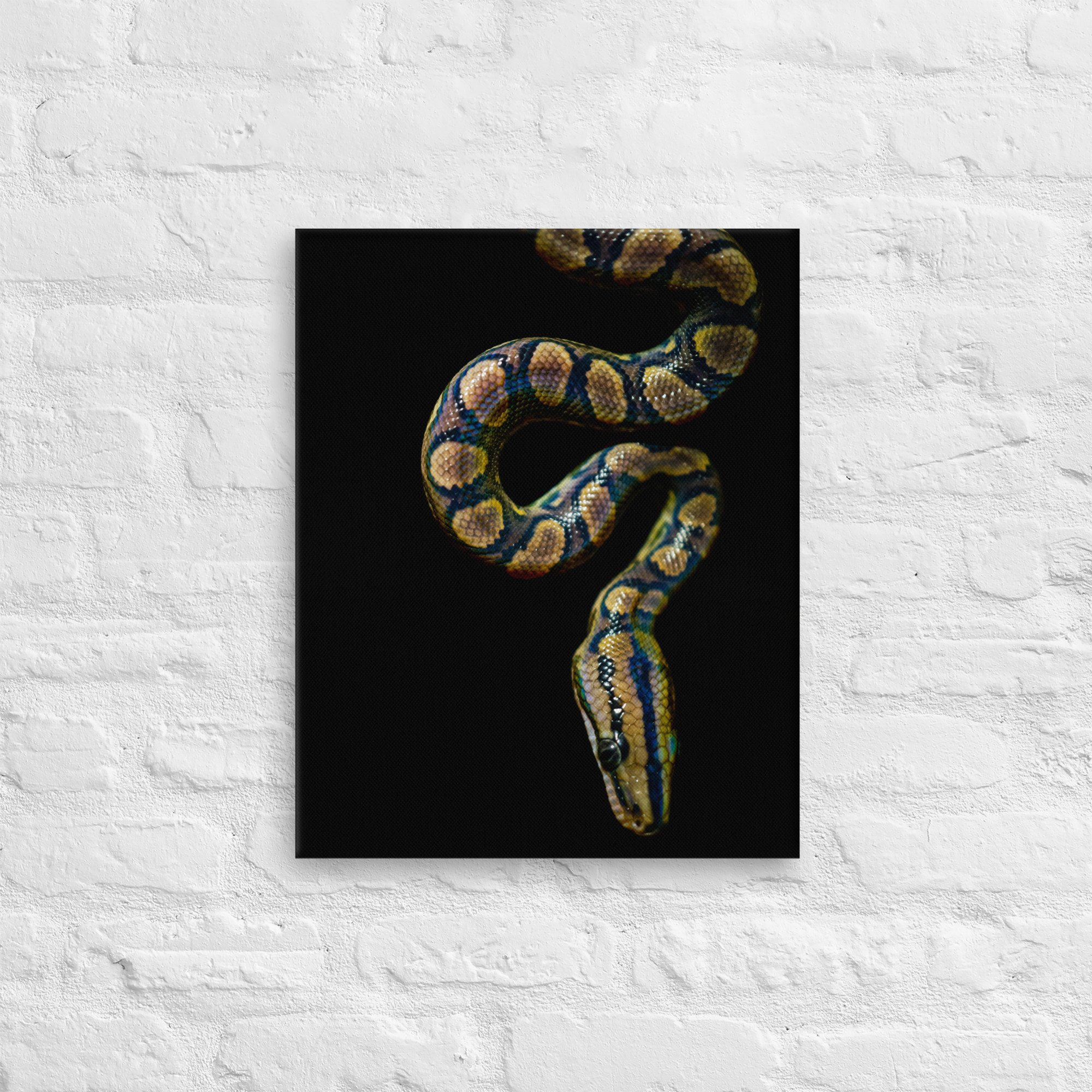 thin-canvas-(in)-16x20-front-643e769b294e8.jpg