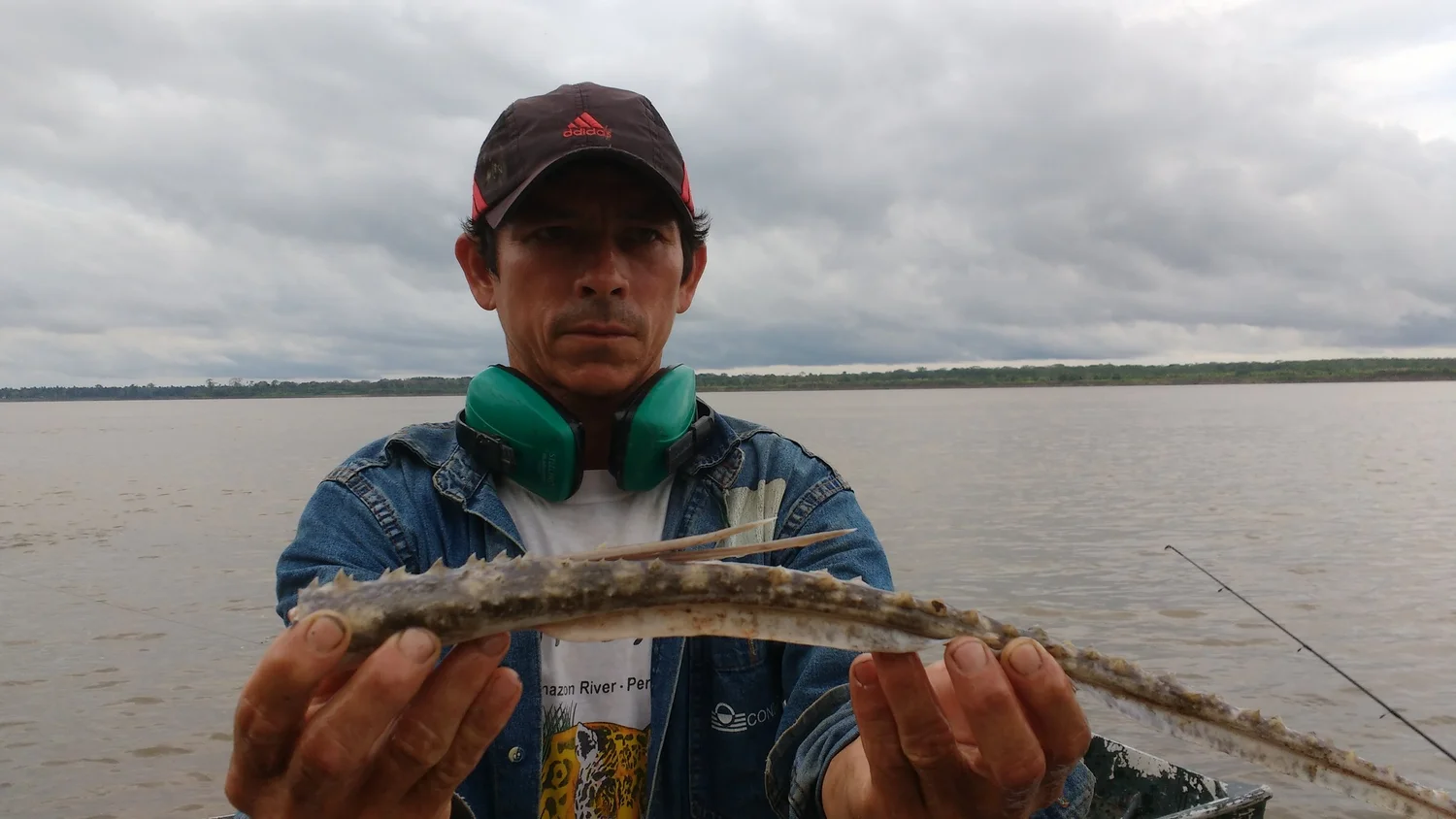 What to fear is not what you think when travelling to the Amazon Rainforest  and River - Otorongo Expeditions Amazon River Lodge Blog