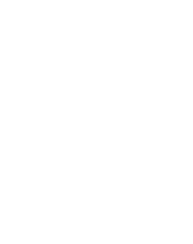 New_Mexico_United_logopng.png
