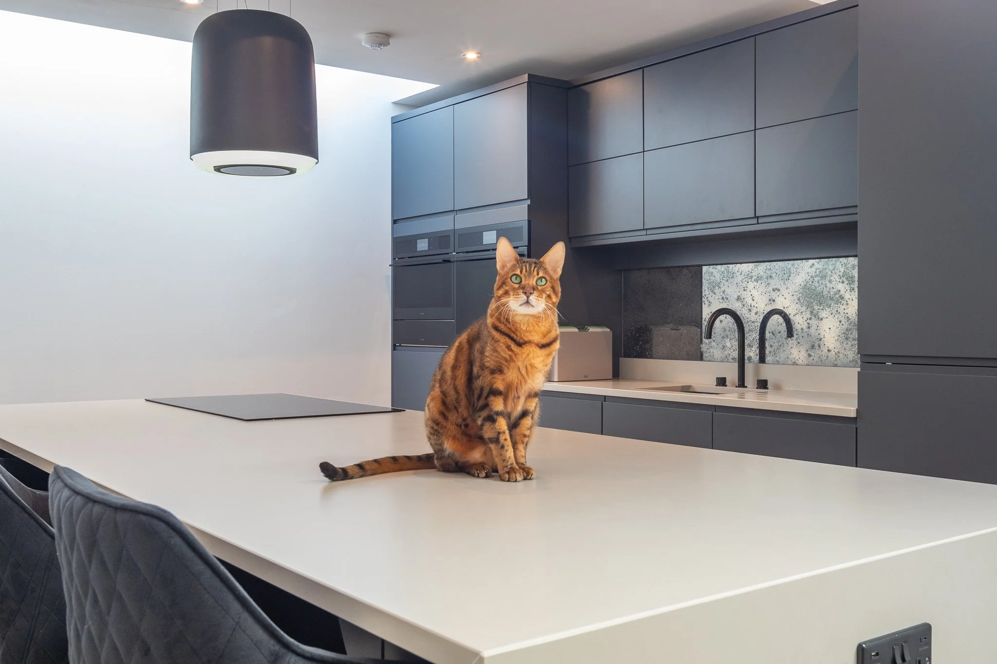 9- Lenzie-Victorian-Villa.jpg