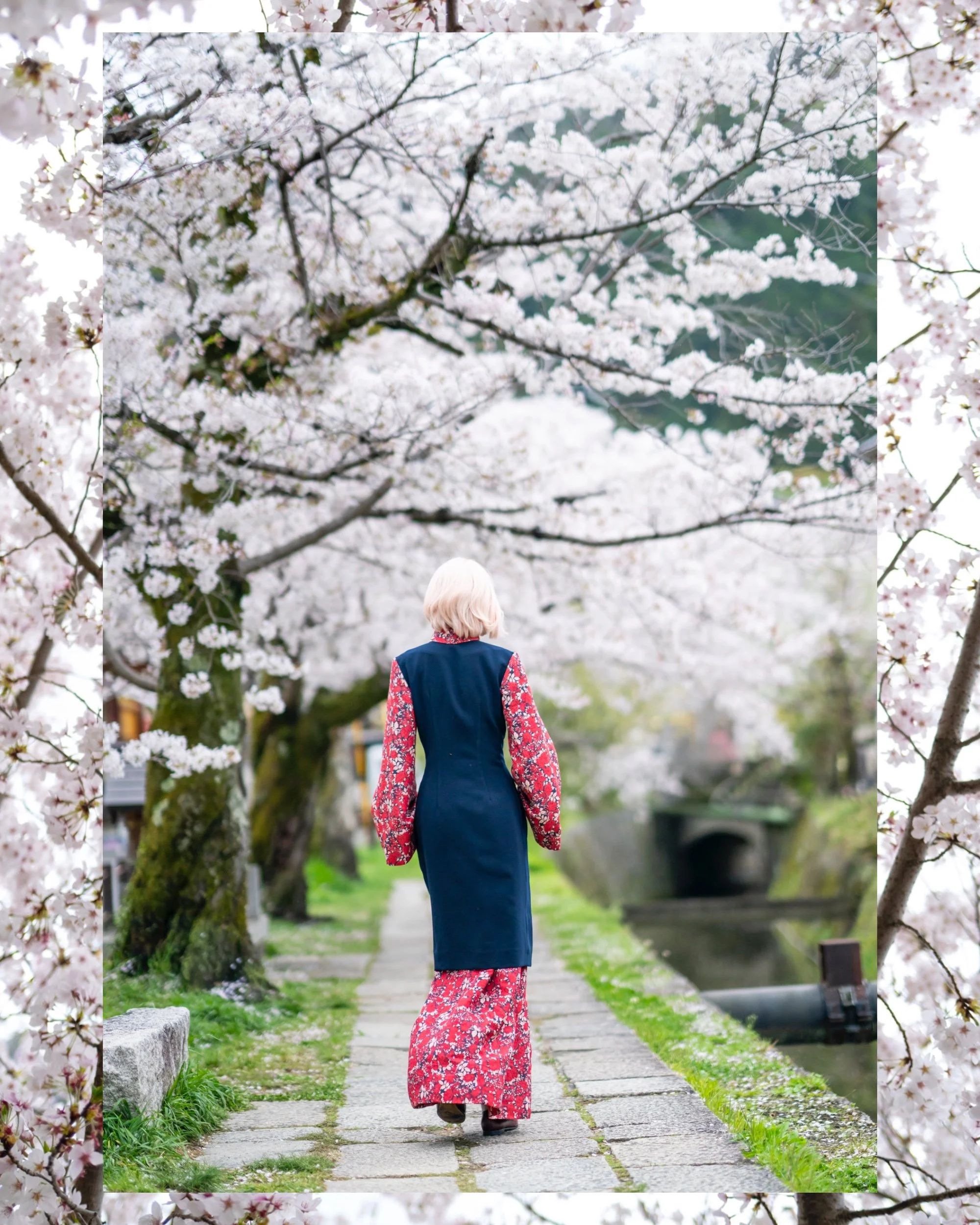 Angelilli, Design, My Designs, Samantha Angelilli, Samantha Angelo, Kezi Ban, Japan, Kyoto, Travel