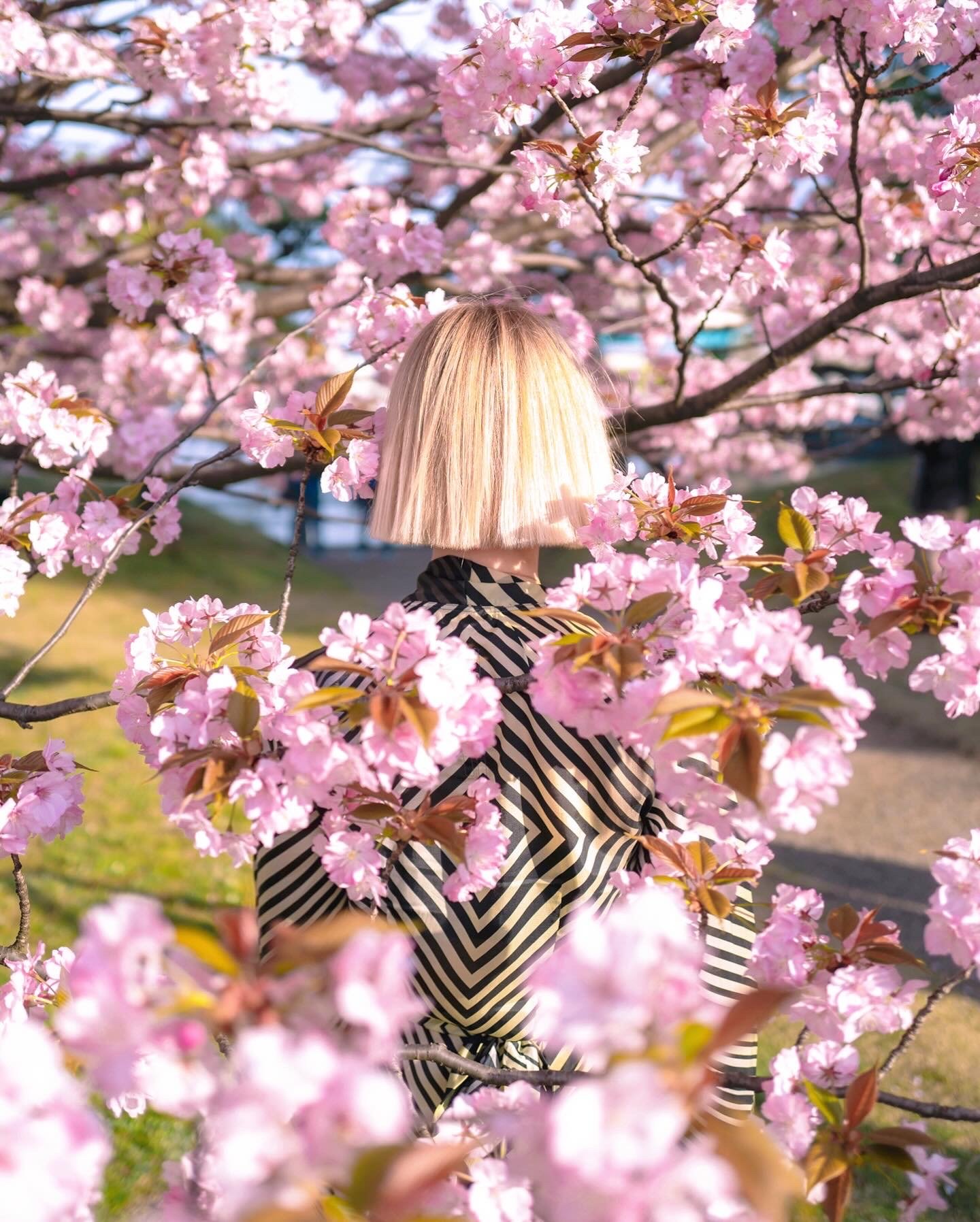 Angelilli, Samantha Angelilli, Samantha Angelo, Kezi Ban, Japan, Kyoto, Travel