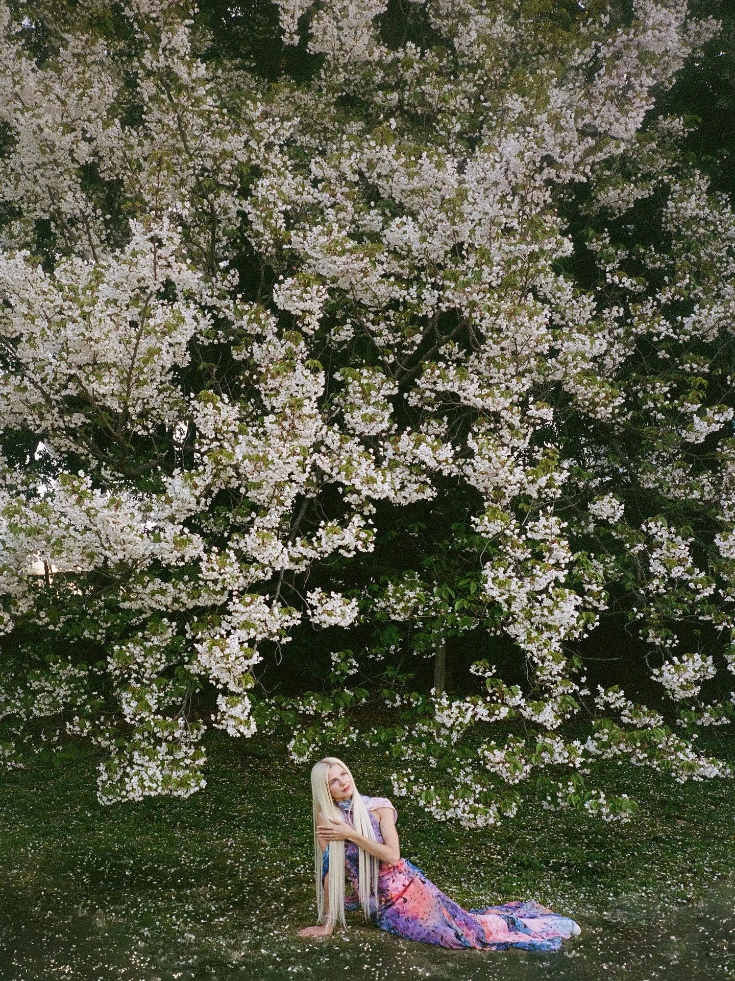 April wanderings between flowers and fog&mdash;on film