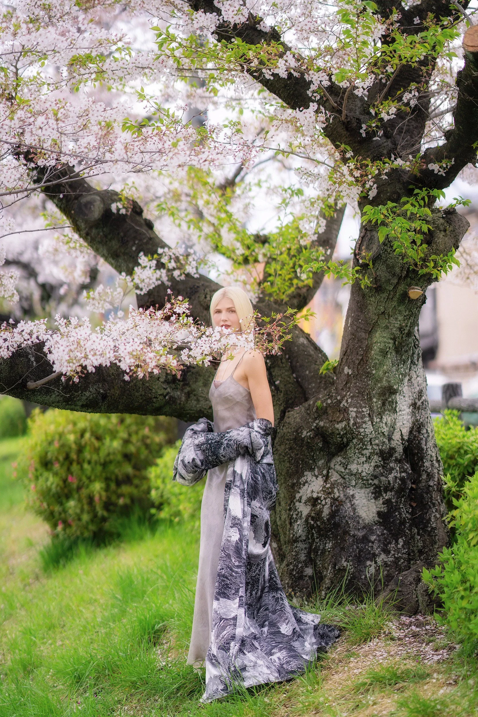 Fashion, Kezi Ban, Samantha Angelilli, Japan, Kyoto, Cherry Blossom, Samantha Angelilli, silk coat, long hair, blonde hair, hair, Spring, 2024, Angelilli