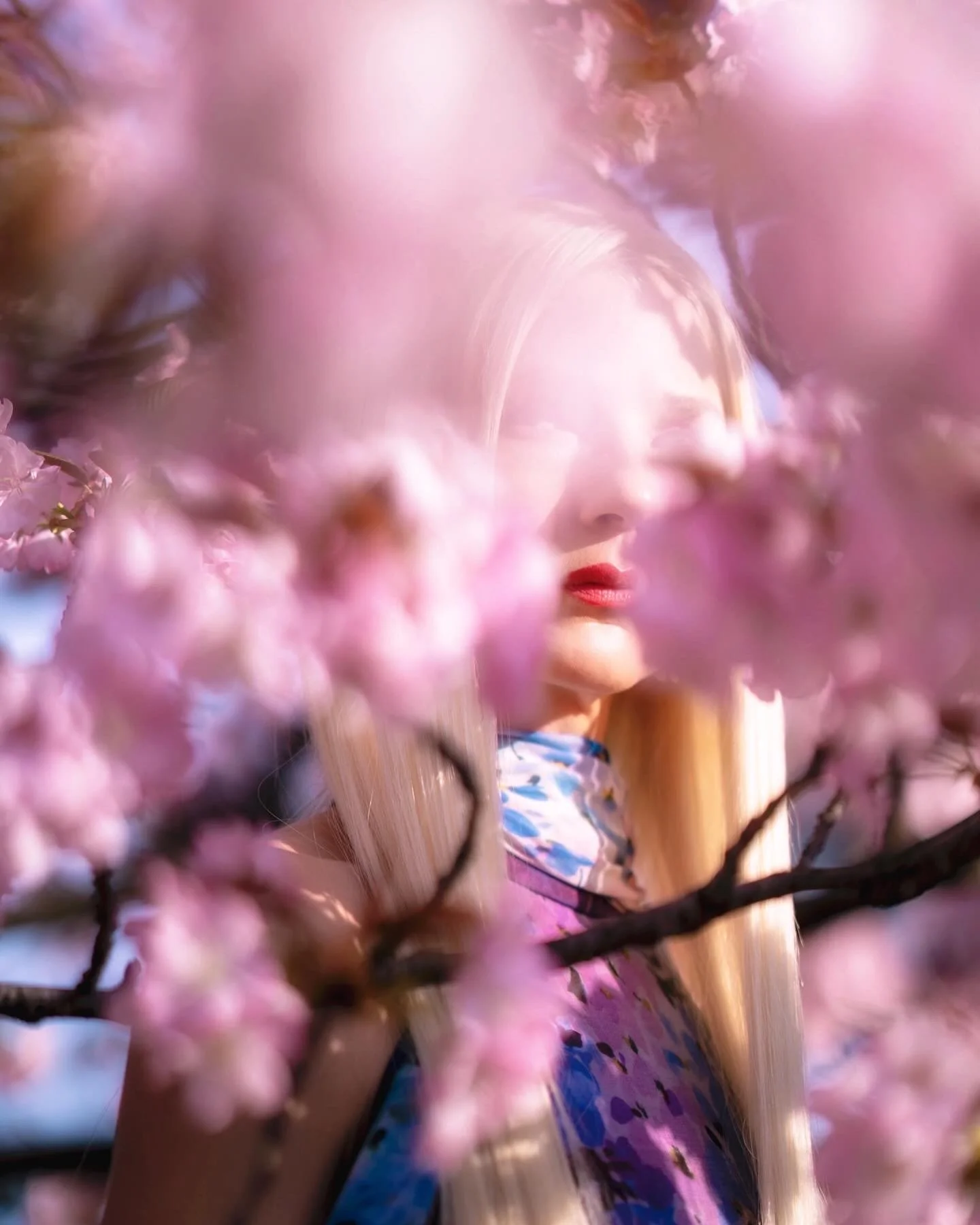 Angelilli, Samantha Angelilli, Samantha Angelo, Kezi Ban, Japan, Kyoto, Travel