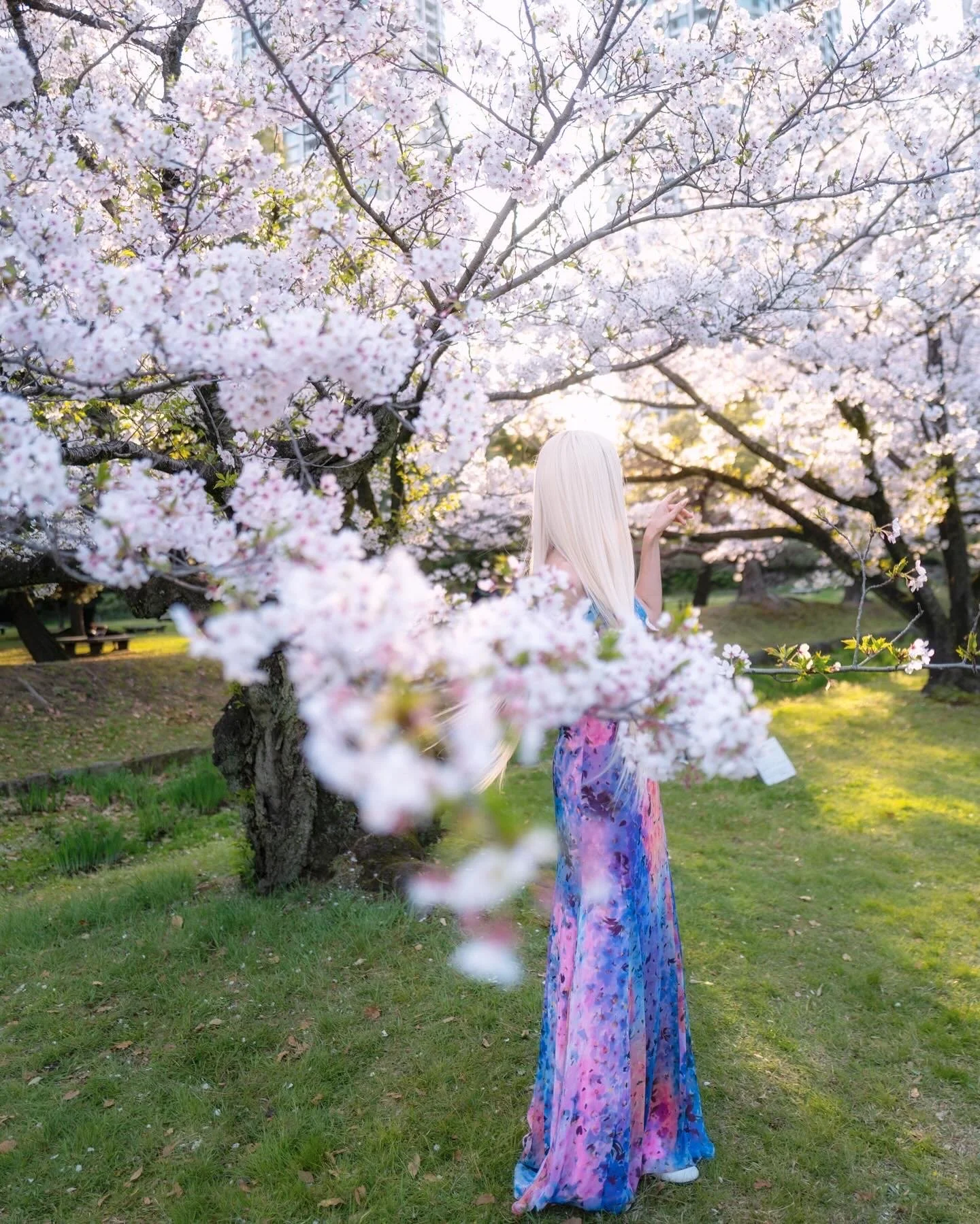 Angelilli, Samantha Angelilli, Samantha Angelo, Kezi Ban, Japan, Kyoto, Travel