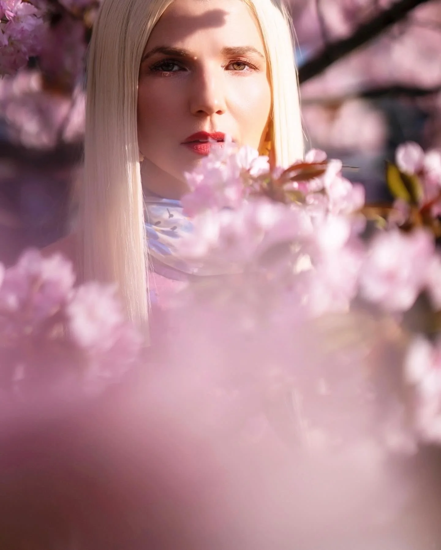 Angelilli, Samantha Angelilli, Samantha Angelo, Kezi Ban, Japan, Kyoto, Travel