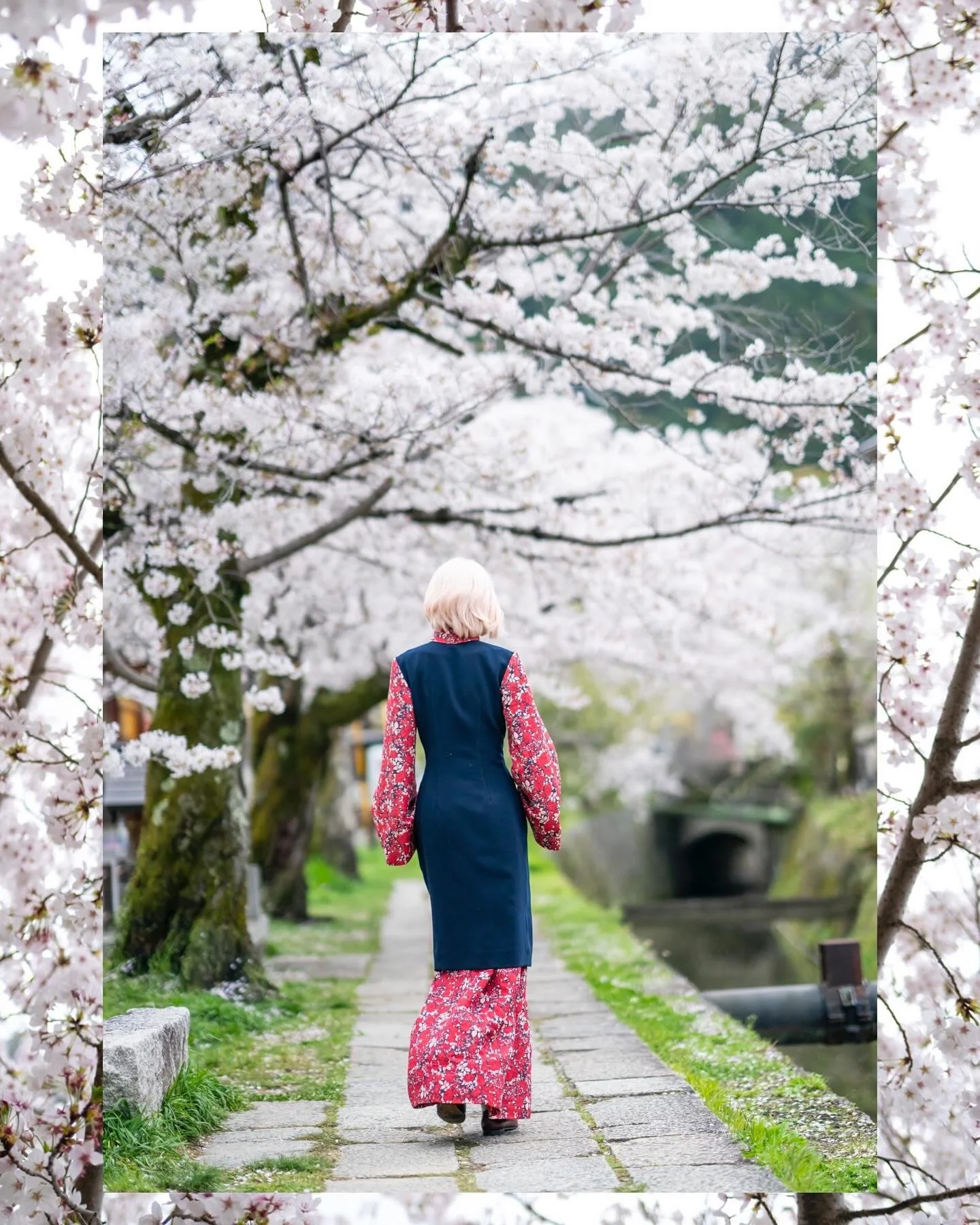 Angelilli, Design, My Designs, Samantha Angelilli, Samantha Angelo, Kezi Ban, Japan, Kyoto, Travel