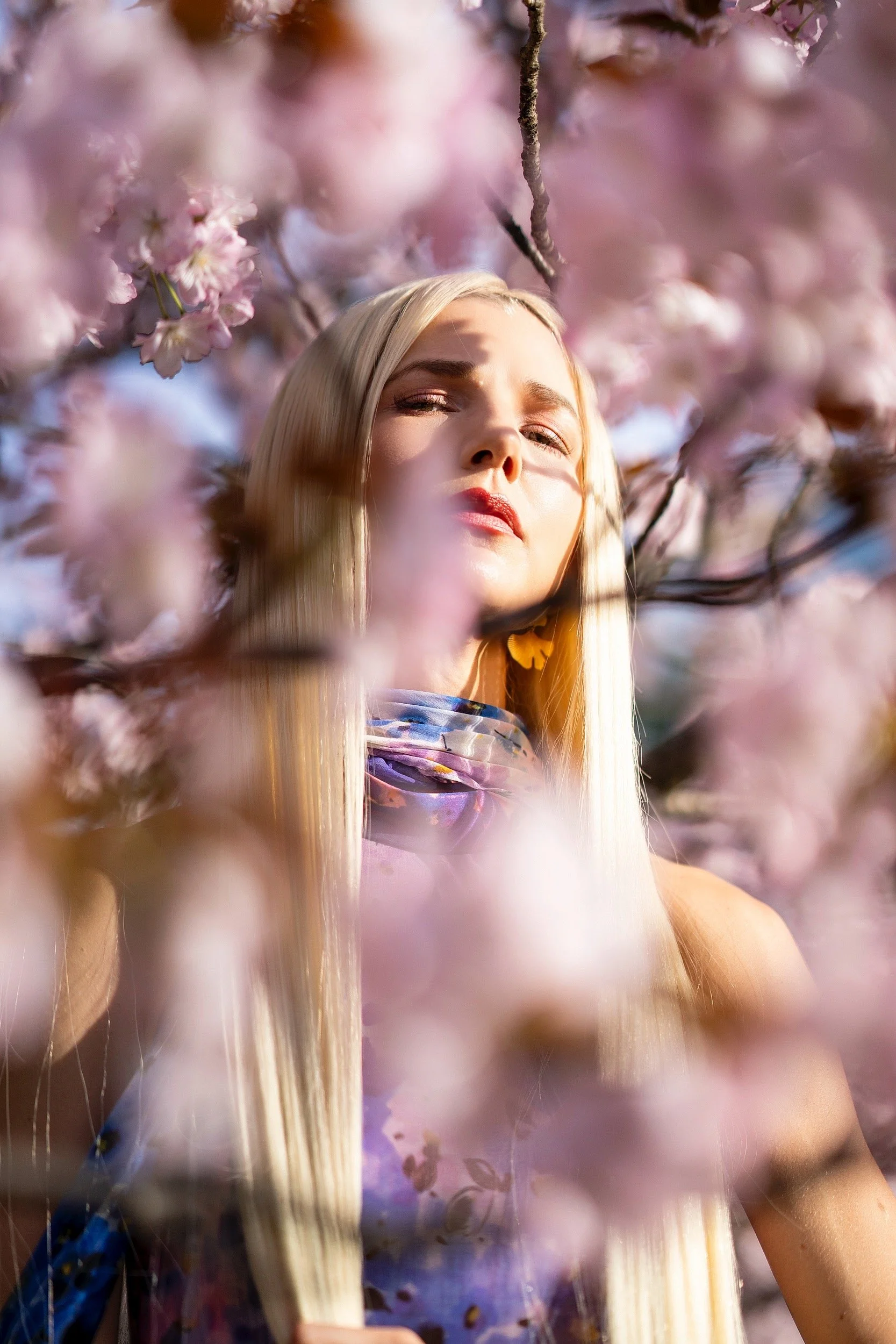 Angelilli, Samantha Angelilli, Samantha Angelo, Kezi Ban, Japan, Kyoto, Travel