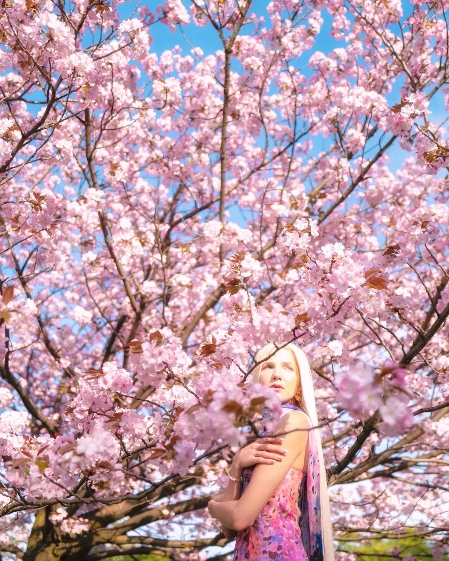 Angelilli, Samantha Angelilli, Samantha Angelo, Kezi Ban, Japan, Kyoto, Travel