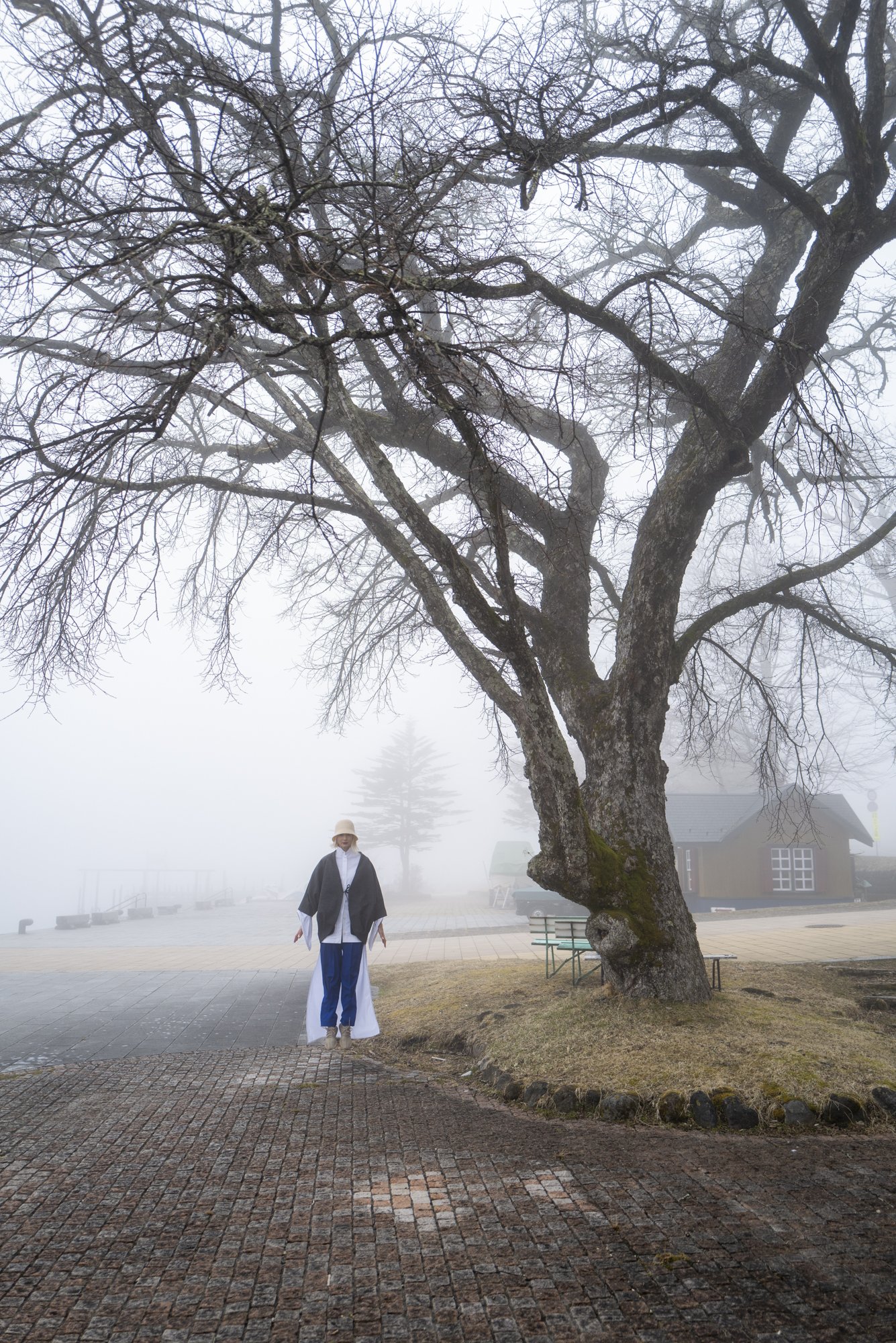 Angelilli, Design, My Designs, Samantha Angelilli, Samantha Angelo, Kezi Ban, Japan, Kyoto, Travel