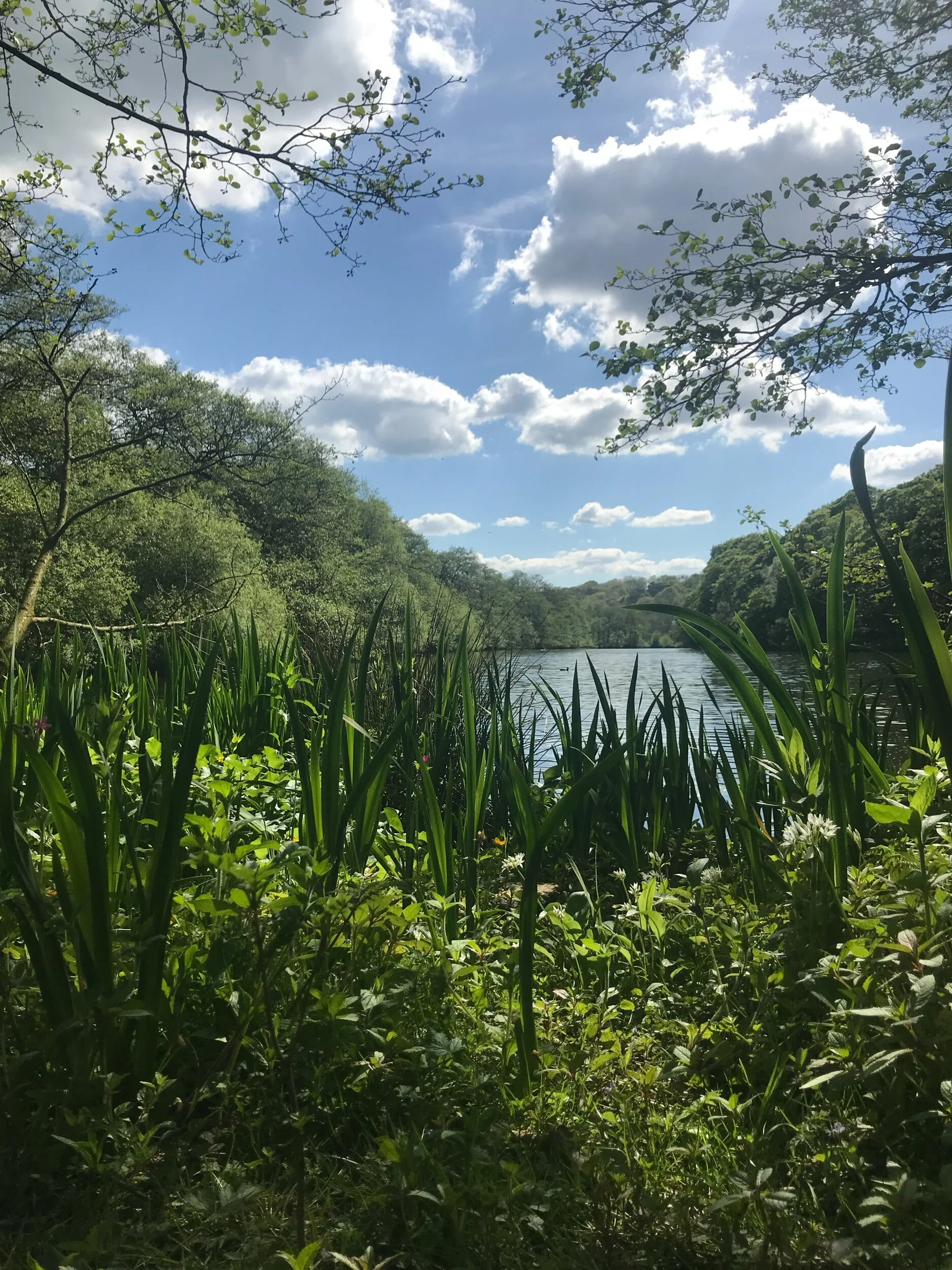 Etherow country park