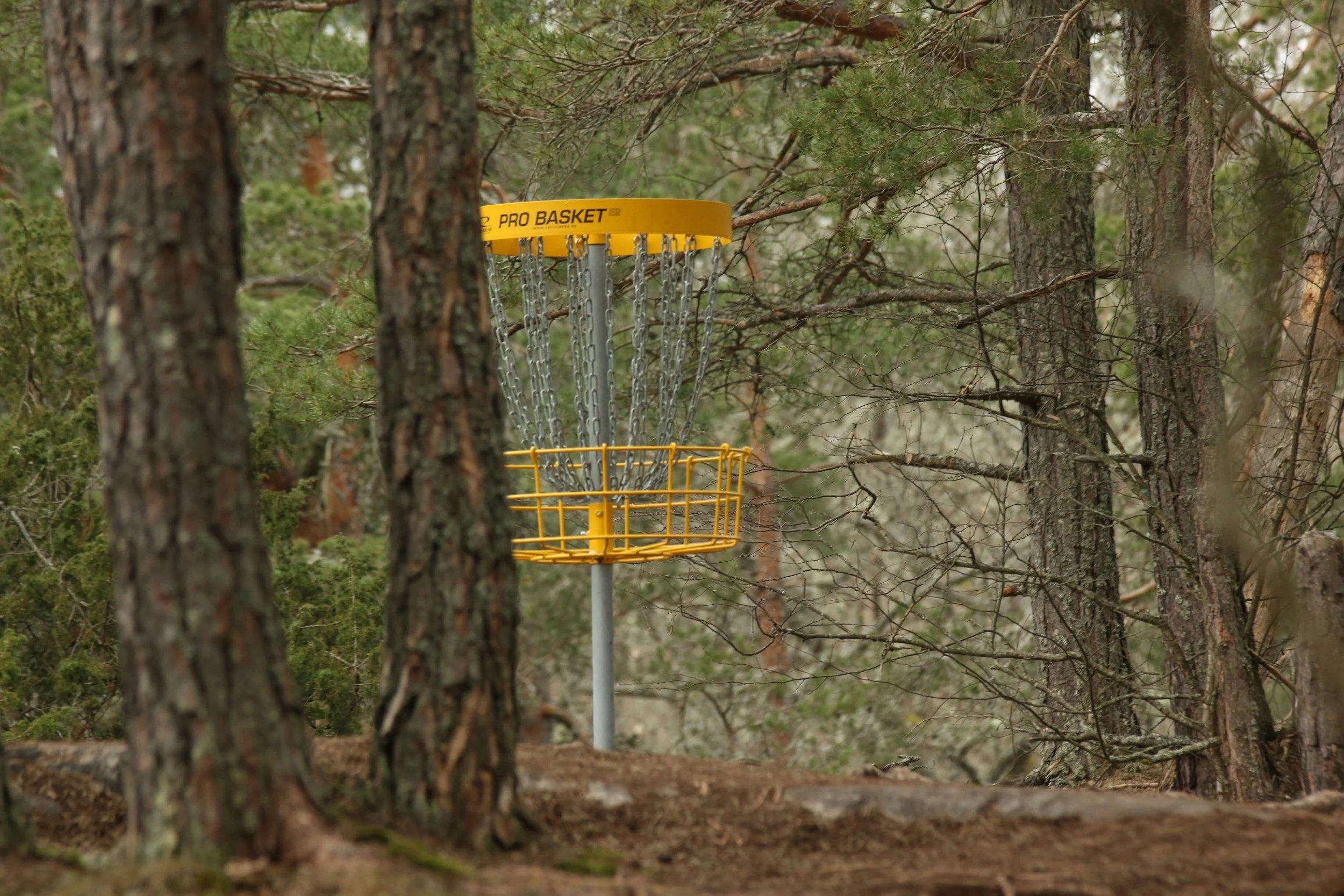 Unlocking the best free days out in Manchester: Longford Park Disc Golf