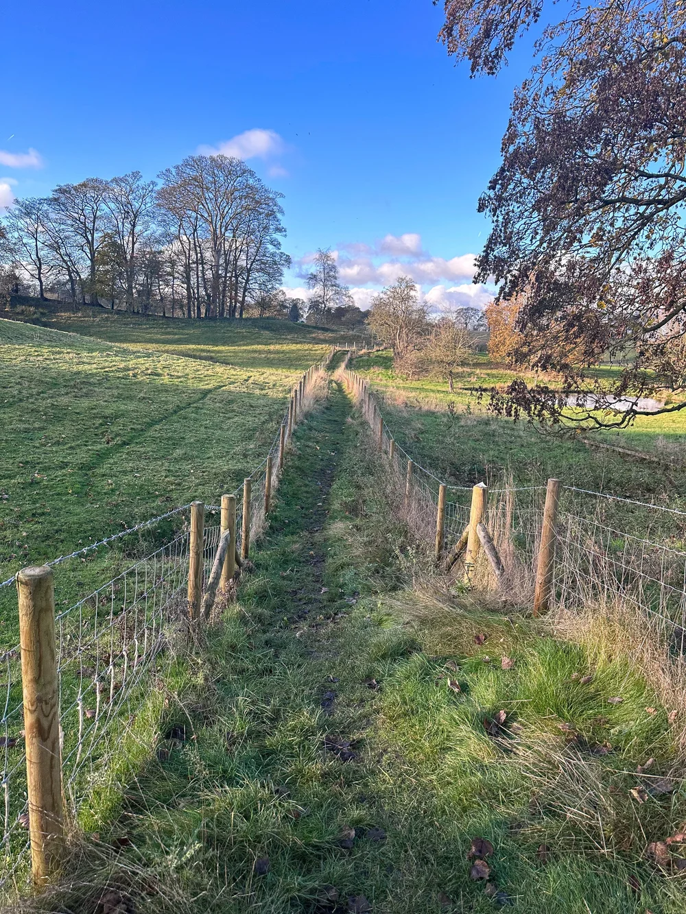 Best short pub walks in Cheshire PRESTBURY VILLAGE — Getlostmcr