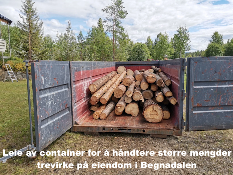 Utsikta Trefelling AS leier container til trefelling og opprydding i Begnadalen i Sør-Aurdal.