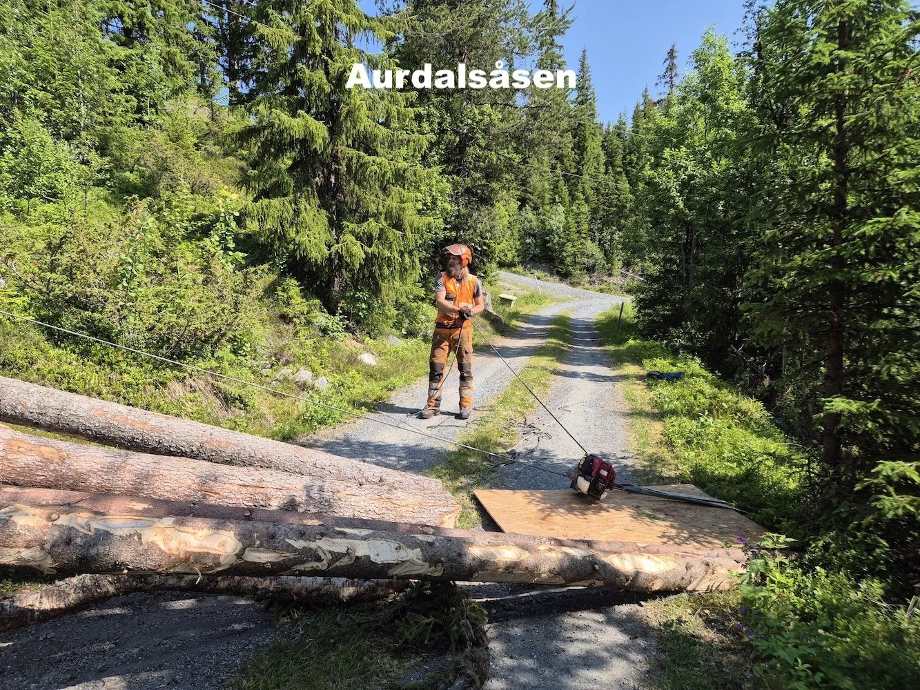 Utsikta Trefelling AS vinsjer tømmer i forbindelse med trefelling på Aurdalsåsen i Nord Aurdal
