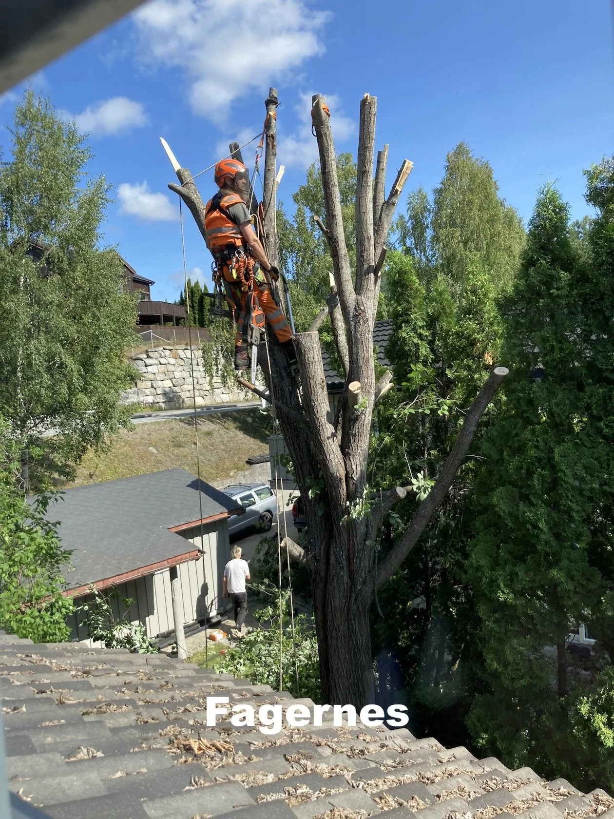 Seksjonsfelling på Fagernes i Nord-Aurdal, Utsikta Trefelling AS