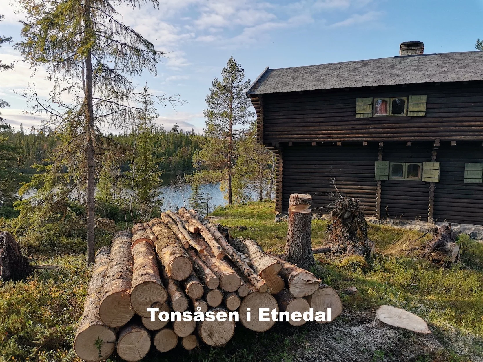 Trefelling på hyttetomt på Tonsåsen i Etnedal utført av Utsikta Trefelling AS.