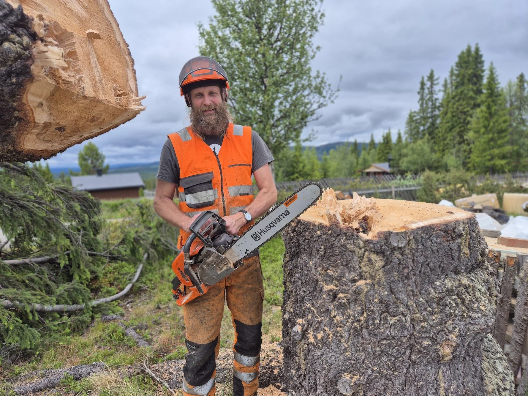 Trefelling, Tisleidalen, Nord Aurdal