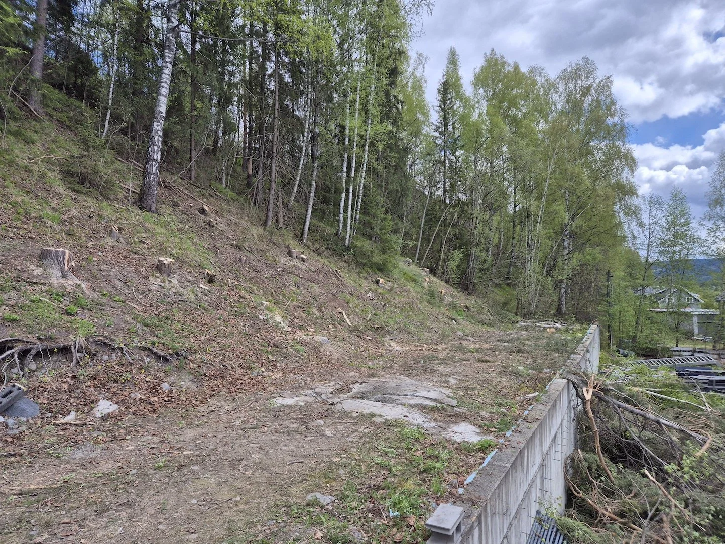 Utsikta Trefelling AS utfører felling av et større antall trær på Dokka i Nordre Land