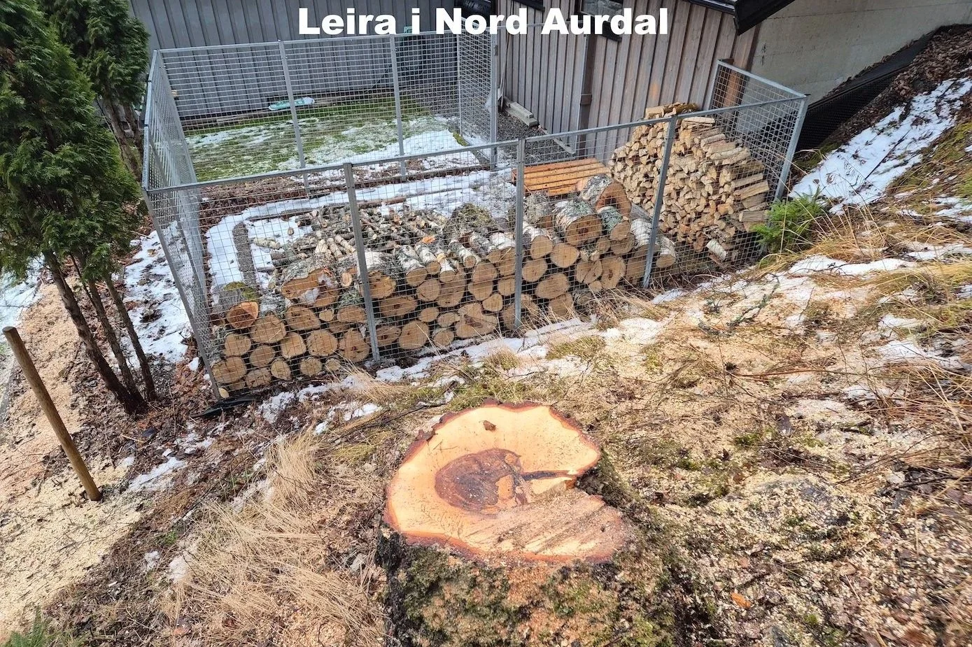 Utsikta Trefelling AS utfører trefelling på Leira i Nord Aurdal