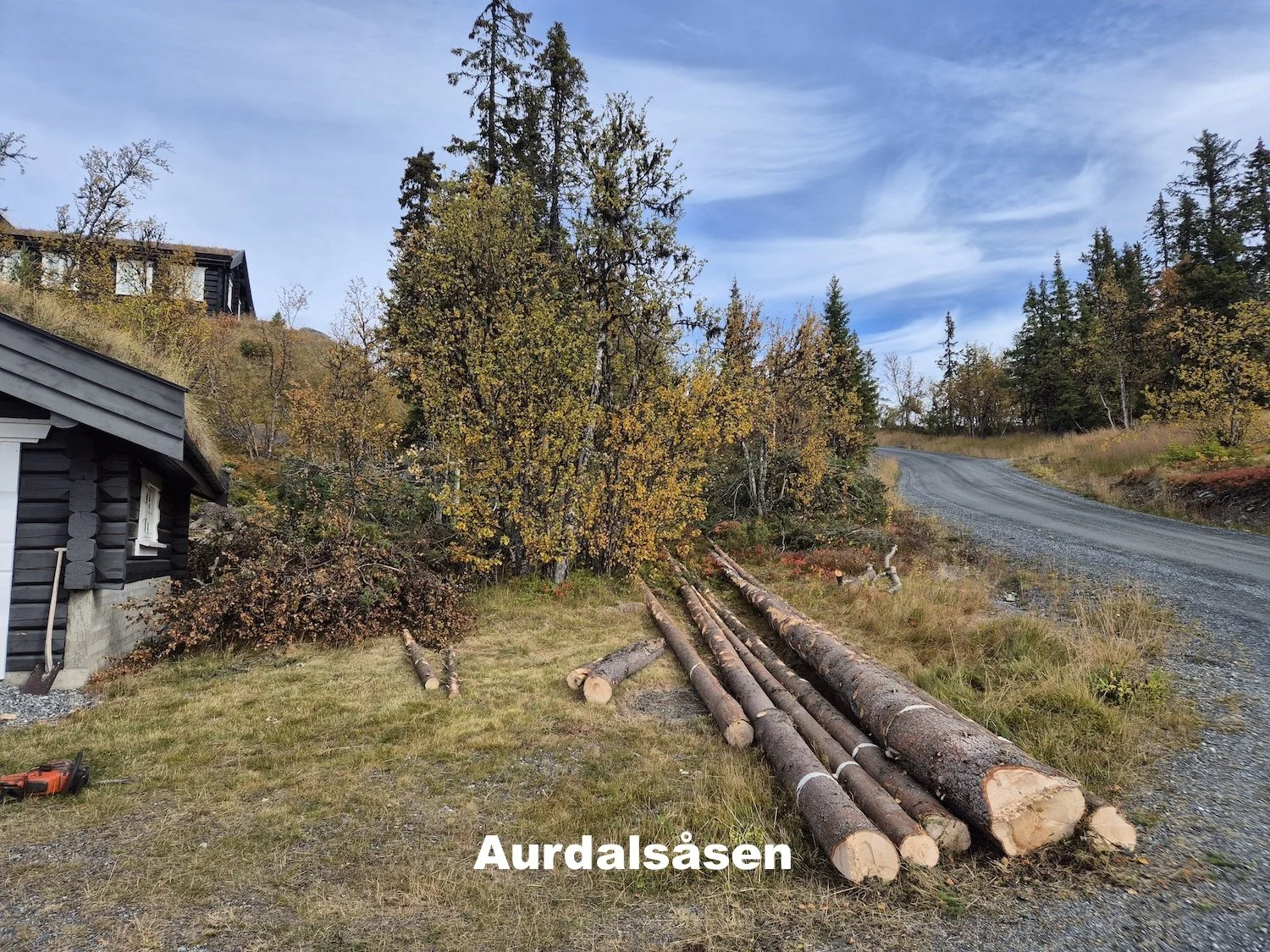 Trefelling på hyttetomt på Aurdalsåsen i Nord-Aurdal, utført av Utsikta Trefelling AS