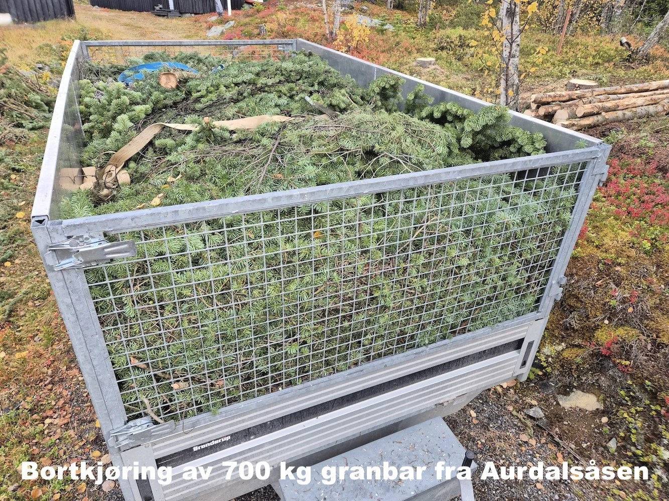 Utsikta Trefelling AS kjører bort granbar etter trefelling på Aurdalsåsen i Nord-Aurdal.