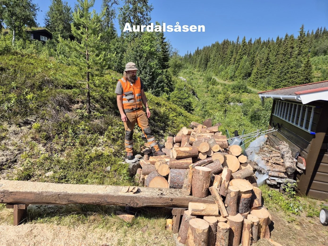 Trefelling og oppkapping av kubber på Aurdalsåsen i Nord-Aurdal, Utsikta Trefelling AS