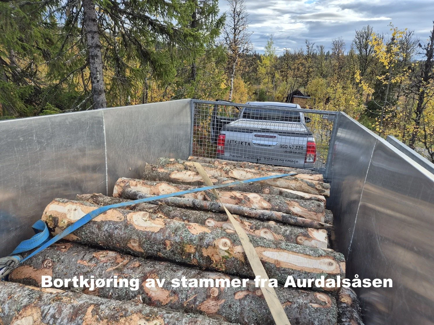 Utsikta Trefelling AS kjører bort stammer etter trefelling på Aurdalsåsen i Nord-Aurdal.