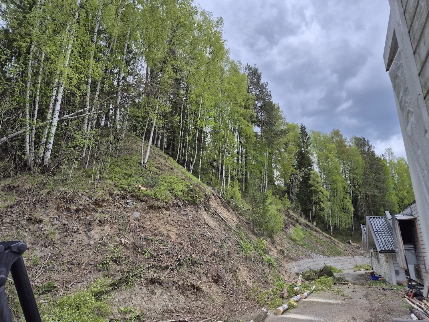 Trefelling ved Bergfoss-senteret på Dokka i Nordre Land - Utsikta Trefelling AS